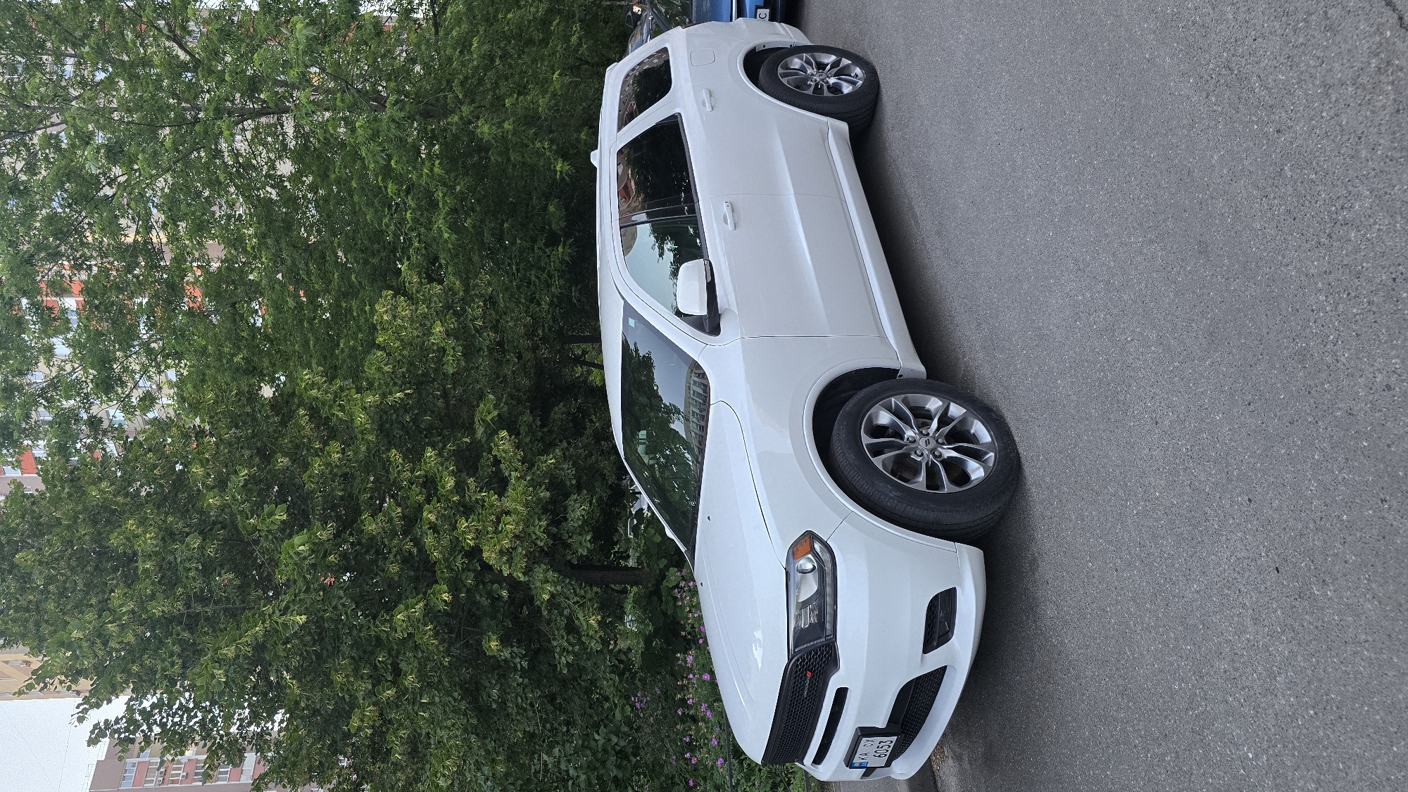 The image shows a white Dodge Durango SUV parked on a street in Kyiv, Ukraine. The car is positioned at a slight angle, facing left, with its front end towards the viewer. The SUV is clean and appears to be in good condition, with dark tinted windows. It has a black grille and silver multi-spoke wheels. The license plate is partially visible and reads "KA DX 6053".
In the background, there are several trees with lush green foliage, some of which are in bloom with small purple flowers at their base. Behind the trees, tall residential buildings are visible, characterized by their colorful facades, suggesting an urban setting. The street surface is asphalt. The overall lighting indicates it is daytime, likely overcast or late afternoon due to the soft shadows. There are no people visible in the frame.