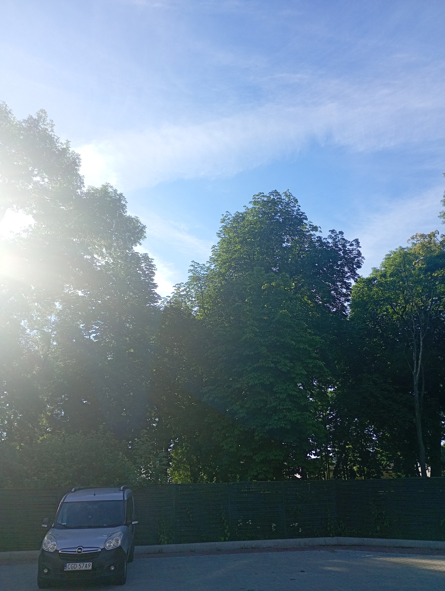 The image depicts a view of a gray minivan parked in a paved lot with a dark green fence in the background. Tall trees with lush green foliage dominate the upper portion of the image, with the sun's rays creating lens flare and casting shadows through the leaves. The sky is blue with scattered thin clouds. The license plate of the minivan reads "CGD 57A9". The scene is likely from a residential or commercial area in Międzyrzecz, Poland, given the vehicle's license plate format.