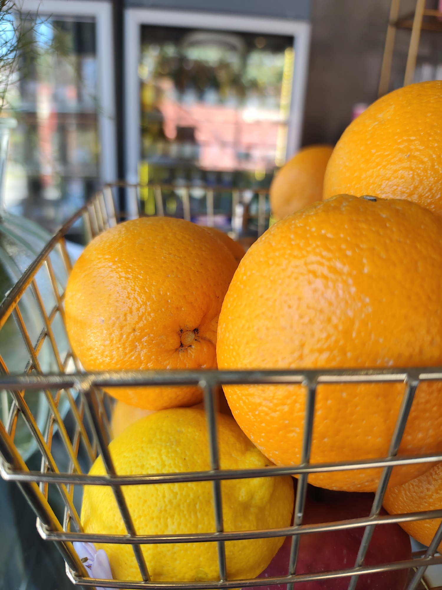 In Sochi, Russia, a close-up shot focuses on a metal basket filled with fruits, prominently featuring several oranges and a lemon. The oranges are large and ripe, with textured skins showing the characteristic dimpled pattern. One orange is positioned in the foreground, taking up a significant portion of the frame, with its stem indentation clearly visible. Another orange is slightly behind and to the left, partially obscured by the front one. A bright yellow lemon is nestled at the bottom of the basket, below the oranges. In the lower part of the basket, a dark red fruit, possibly an apple, is visible beneath the lemon. The background is blurred, hinting at an indoor setting with reflections on glass surfaces, suggesting a display or counter in a shop or market. The overall lighting is bright, highlighting the vibrant colors of the fruits.