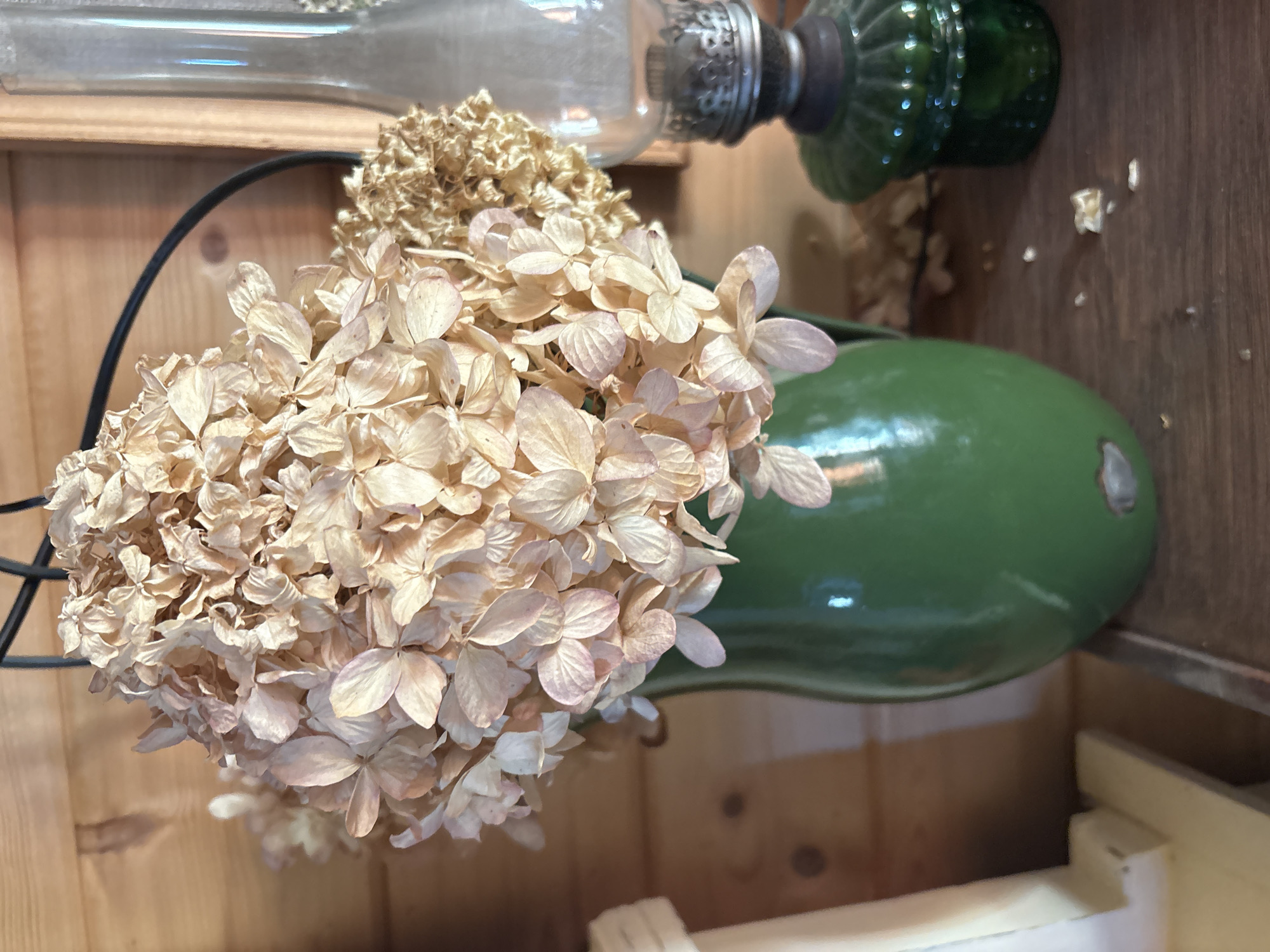 The image shows a still life arrangement on a wooden surface, likely a shelf. In the foreground, a green pitcher holds a bouquet of dried hydrangeas. To the right of the pitcher is a small, dark green glass oil lamp. The background consists of a wooden wall. No people are present in the image, and no actions or interactions are depicted. The scene is static and appears to be indoors. The location in the city of Lyady, Russia, is not discernible from the image itself.