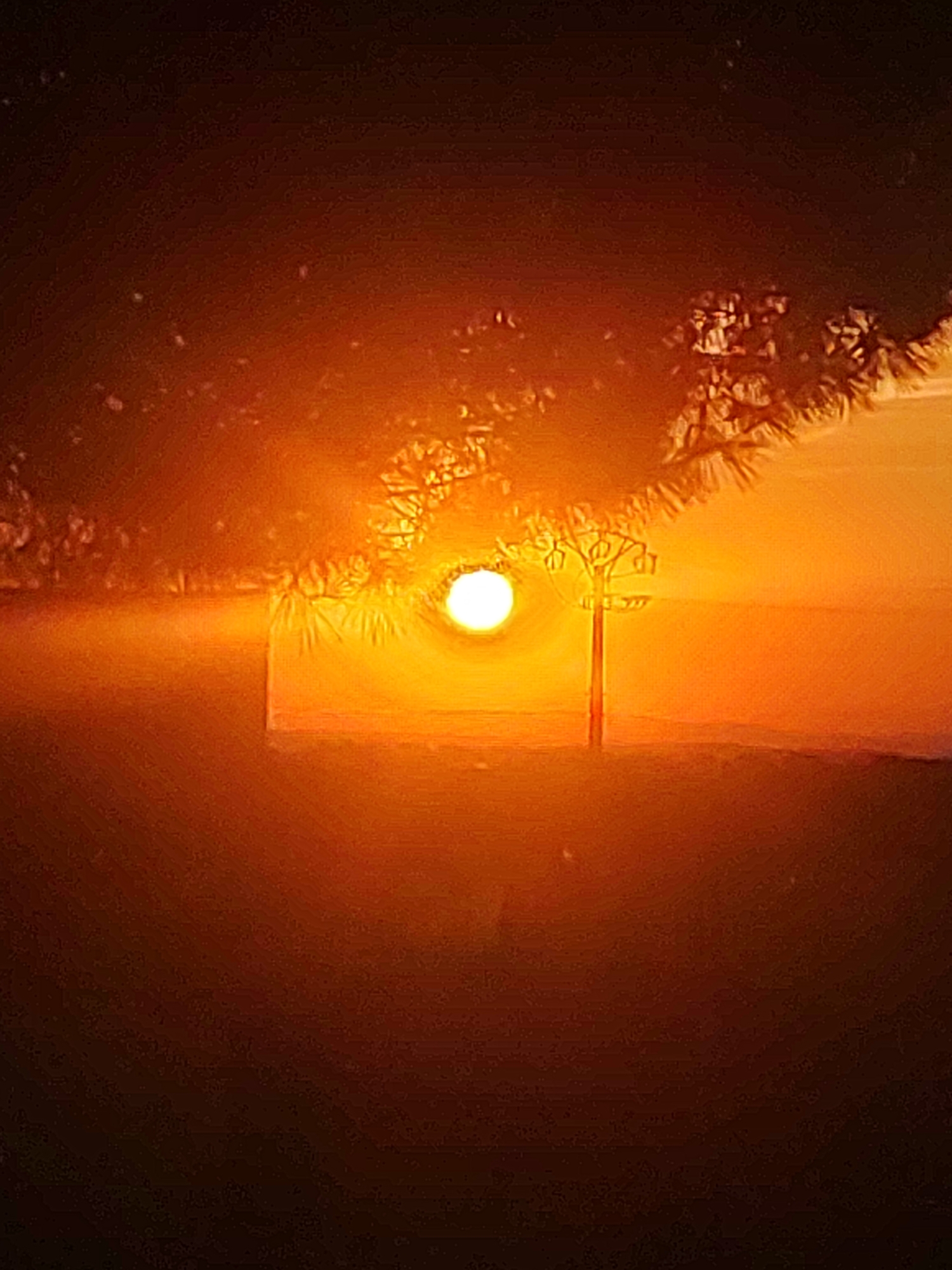 A bright, round sun is prominently positioned in the center of the image, casting an intense orange glow across the scene. The sun is partially obscured by the silhouetted branches of a tree or shrub in the foreground, which frames the lower portion of the celestial body. To the right of the sun, a thin, vertical pole, possibly a utility pole or a lamp post, stands starkly against the luminous sky. The horizon line is indistinct, blurred by the overwhelming sunlight, but suggests a flat landscape. The lower part of the image depicts a darker, silhouetted foreground, possibly ground or foliage. The overall impression is of a dramatic sunset or sunrise, with strong atmospheric effects enhancing the vibrant colors. The image is located in the municipality of Sobradillo, Spain.