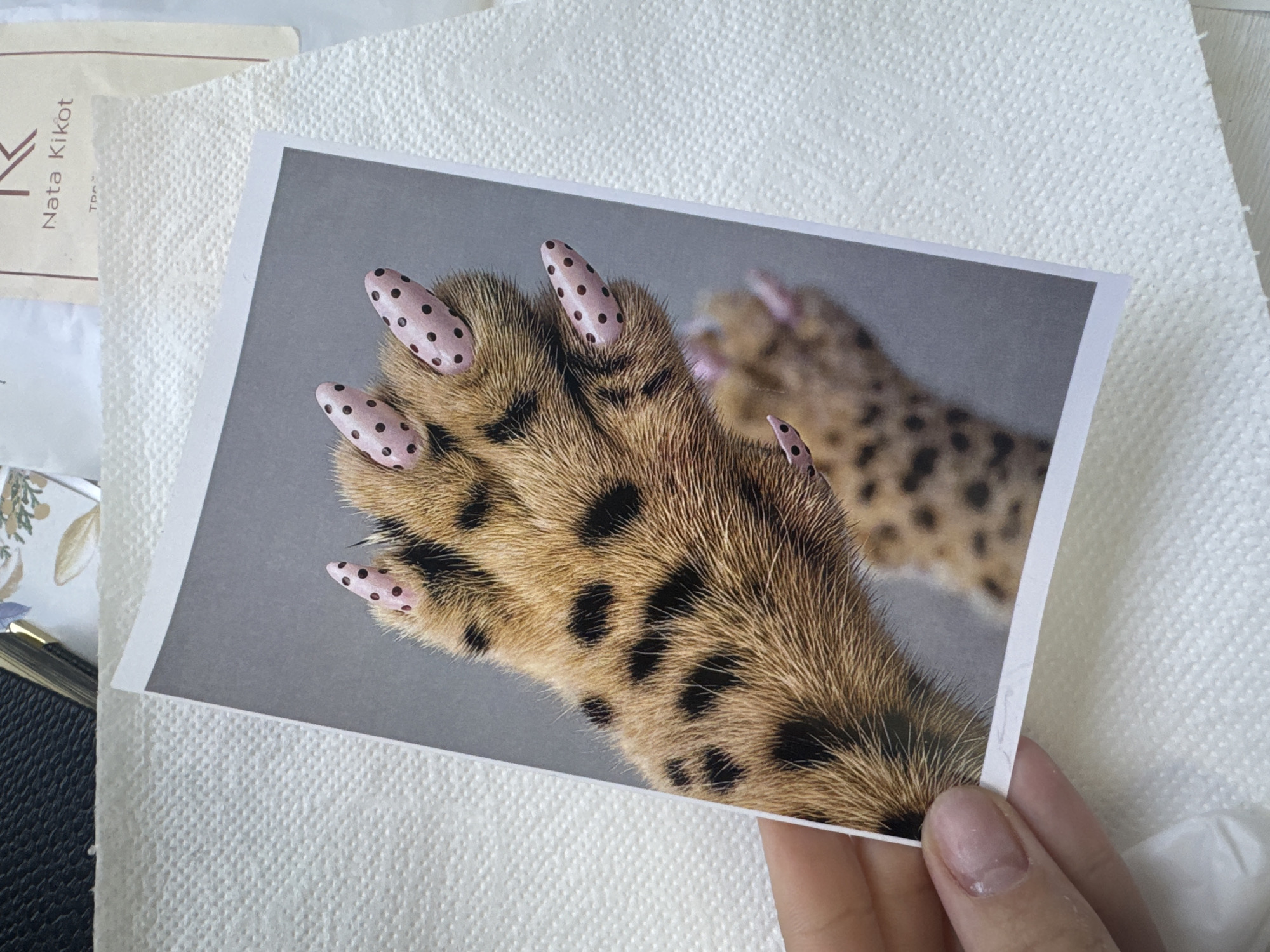 The image shows a photograph of a cat's paw with artificial nails on its claws. The nails are light pink with dark brown polka dots. The cat's fur is brown with black spots. The photograph is being held by a person with pale skin and unpolished nails. The background consists of a white textured surface, possibly paper towels. To the left of the photograph, there is a black leather notebook and a piece of paper with the text "Nata Kikot". There is no information in the image that suggests a location in Izhevsk, Russia.
