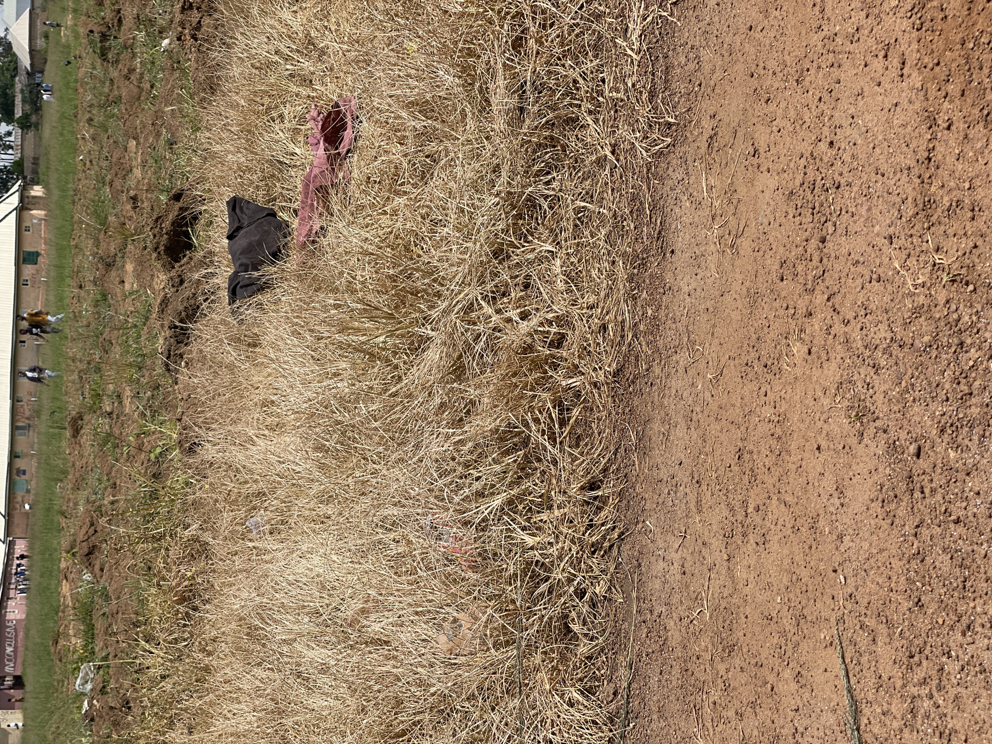 The image shows an outdoor scene in Durumi, Nigeria, featuring a patch of dry, golden grass next to a dirt path. In the grass, a black garment, possibly a hooded sweatshirt, and a reddish-pink cloth are visible. Further in the background, beyond a strip of disturbed earth, a building with light-colored walls and a darker roof is partially visible, with some people standing in front of it. The lighting suggests it is daytime, likely with clear weather. The overall impression is of a somewhat neglected outdoor area, possibly a field or undeveloped land adjacent to a community. There is no visible text in the image.