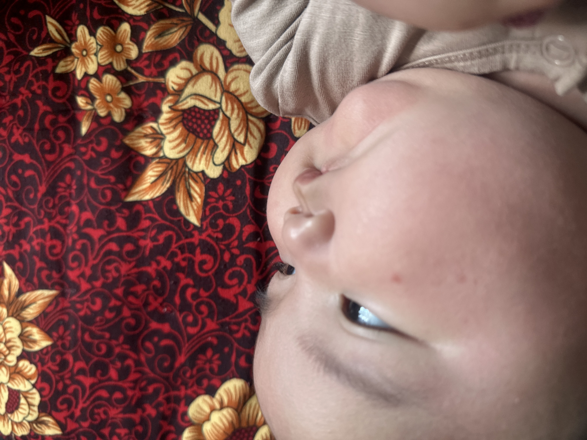 This is a close-up, upside-down, eye-level photograph of a baby's face and part of their clothing, resting on a patterned fabric. The baby is positioned on their back, with their face angled towards the camera.
The fabric beneath the baby is a deep red with a black, swirling floral and scroll pattern. Scattered across the red background are stylized golden and orange flowers with dark red centers. The fabric appears to be a blanket or a piece of clothing.
The baby's skin is smooth and fair, with a few faint red spots visible on their cheek. The baby's right eye is open, revealing a dark pupil and iris with a reflection of a light source. The eyelashes are dark and prominent. The baby's nose and mouth are partially visible, suggesting a soft, rounded facial structure. The baby is wearing a light beige, possibly cotton, garment with a visible seam and a clear, round snap closure near the neckline.
The image is a candid, intimate shot, likely taken indoors given the lighting and close proximity to the fabric. The orientation suggests the baby might have been laid down for a photograph or is resting. No specific activity is taking place beyond the baby resting. The overall mood is peaceful and focuses on the details of the baby's features and the texture of the surrounding materials. There is no visible text in the image.