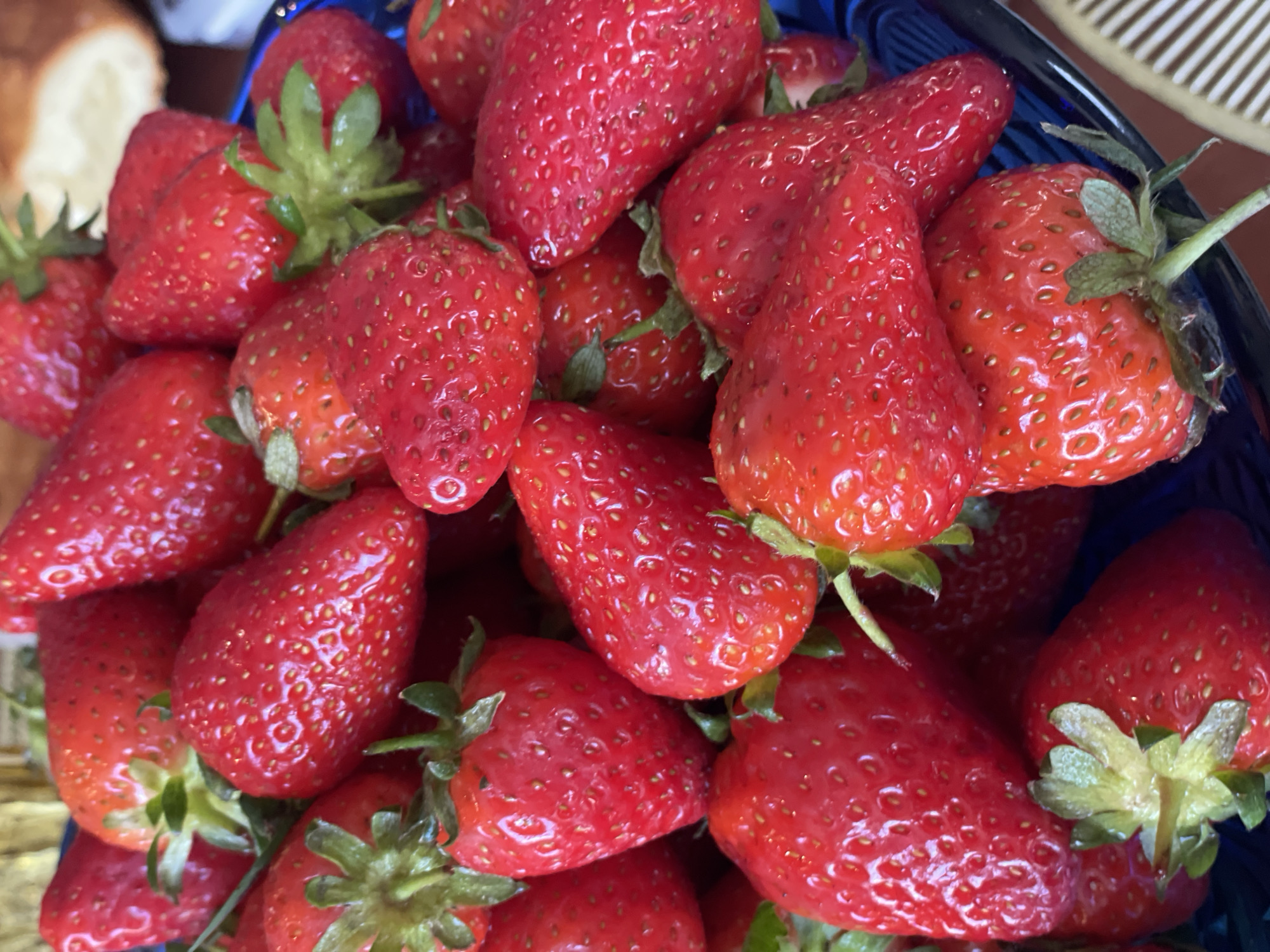 A close-up, high-angle shot shows a heap of ripe red strawberries in a blue plastic basket. The strawberries are of various sizes and shapes, with bright green stems and leaves still attached. Many tiny seeds are visible on the surface of each strawberry. A piece of bread is partially visible in the background. The location is stated as Sestroretsk, Russia, although no specific details in the image confirm this information.