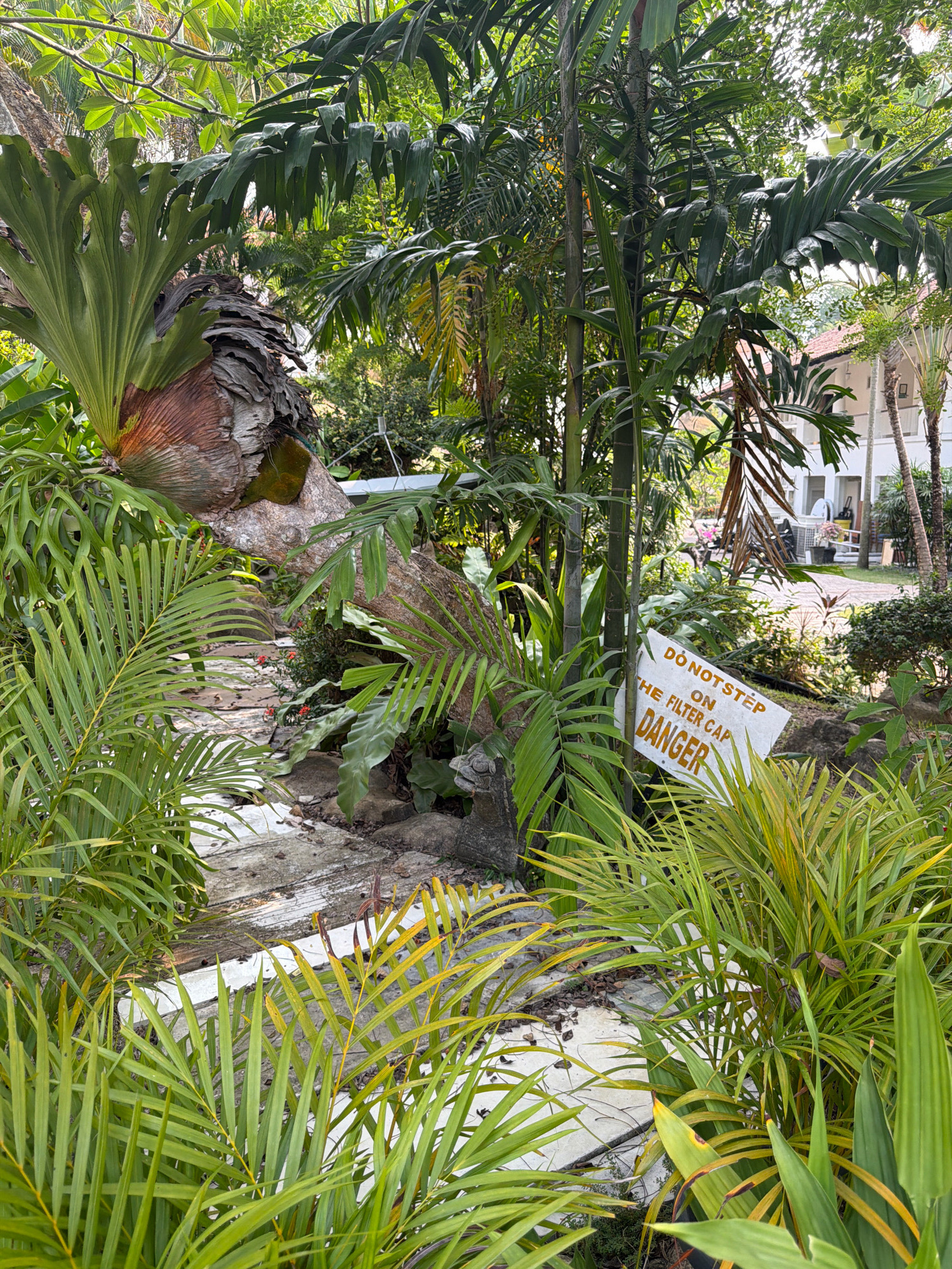 The image shows a lush, green outdoor environment with dense tropical foliage. In the foreground, various palm fronds and other leafy plants are visible. A stone pathway winds through the greenery. To the right, a white sign with orange lettering is propped up, reading "DO NOT STEP ON THE FILTER CAP DANGER". In the background, parts of buildings with tiled roofs are visible, suggesting an urban or resort setting. The overall impression is one of a well-maintained garden area within Batam, Indonesia, likely part of a resort or residential complex.