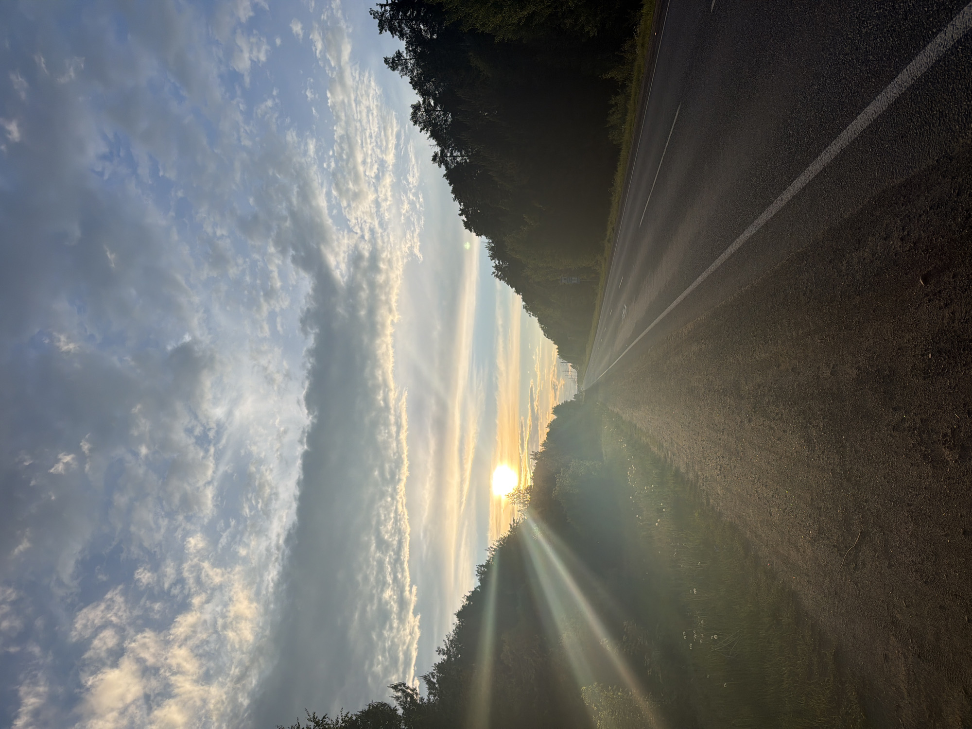 A photograph depicts a road running through a forest, with the sun setting in the distance. The road, marked with a white line, stretches towards the horizon. The sun's rays shine brightly through the trees. Above, the sky is filled with clouds. The location is near Chaikovsky, Russia, based on image metadata.