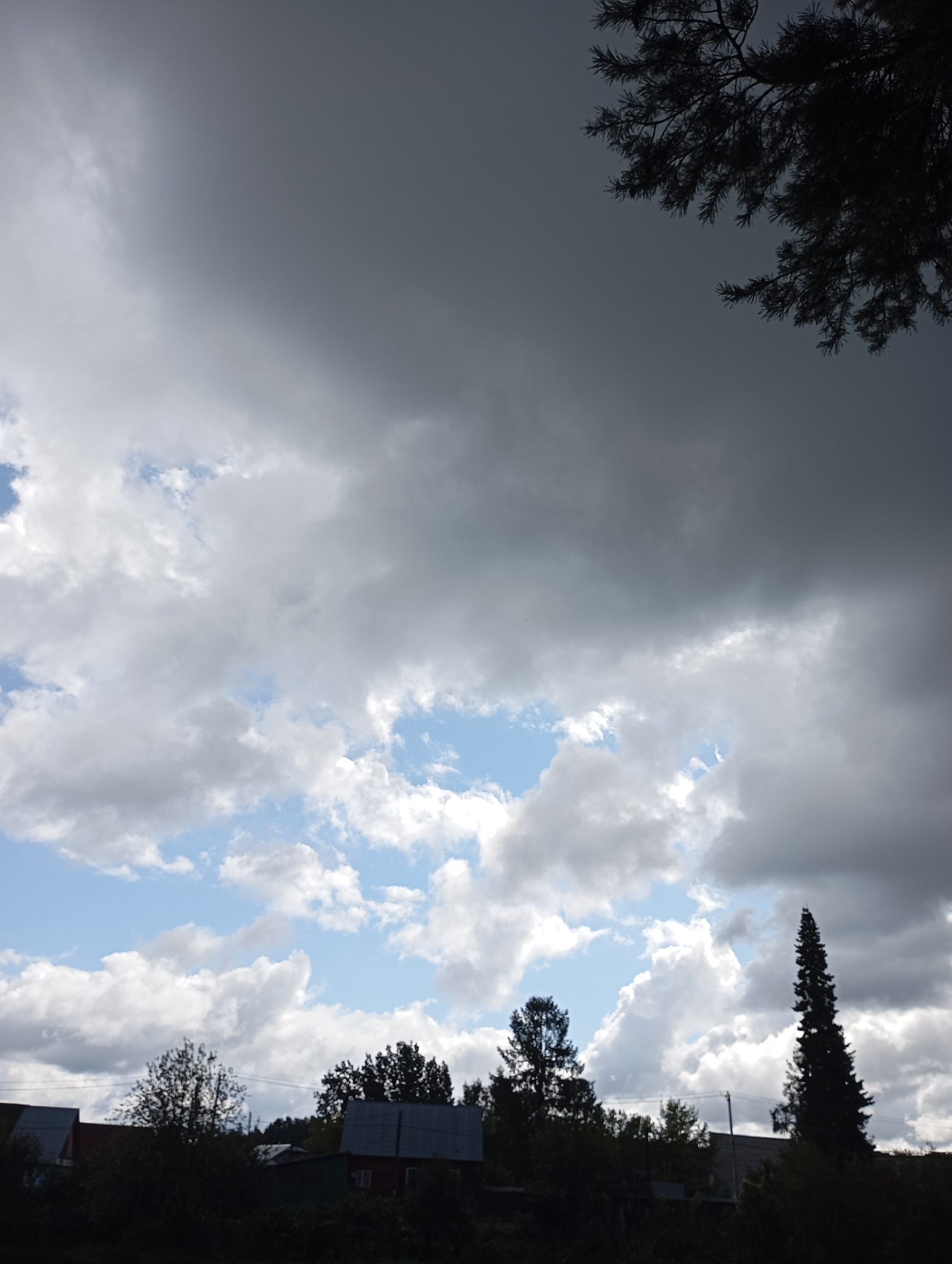 The image captures a view of the sky and a village in Chaikovsky, Russia. The sky is dominated by a mix of dark, heavy clouds and patches of bright blue sky with fluffy white clouds. A silhouette of pine tree branches is visible in the upper right corner, against the dark sky. Below the sky, the upper sections of several houses with dark roofs are visible, nestled amongst dark green trees and foliage. A tall, slender, dark evergreen tree stands prominently on the right side of the frame, silhouetted against the sky. Power lines are visible strung between poles in the mid-ground. The overall impression is of an overcast or approaching storm.