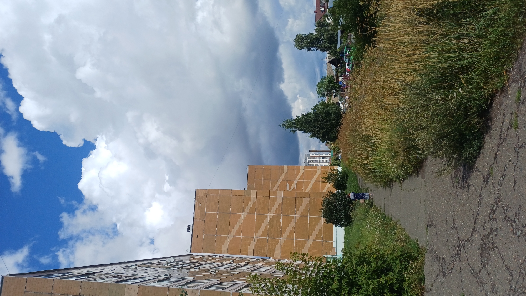 In Izhevsk, Russia, a concrete pathway, cracked and weathered, winds through a grassy area bordering tall, beige apartment buildings with distinctive diagonal stripe patterns on their facades. To the right of the path, dry, golden grasses and green bushes create a dense border. In the distance, a cluster of houses with red roofs, trees, and parked cars are visible. A lone figure, a woman in a blue patterned dress, walks away from the camera on the path, carrying a bag. The sky is partly cloudy with large, white cumulus clouds against a bright blue backdrop.