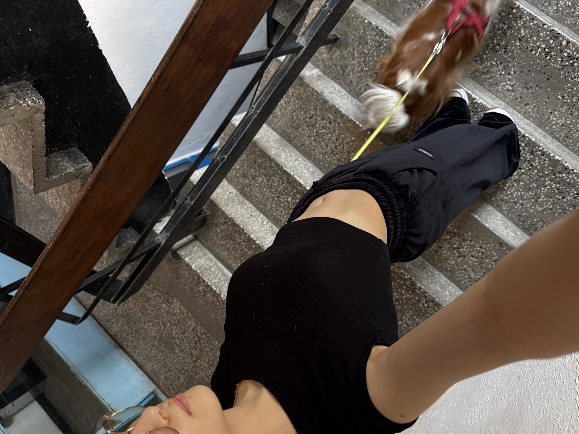 A high-angle selfie captures a person and a brown and white dog descending a concrete stairwell, likely in Sofia, Bulgaria. The person is partially visible, wearing sunglasses, a black cropped top that exposes their midriff, and black sweatpants with white sneakers. Their right arm is extended, holding the camera to take the photo.
Ahead of the person, a medium-sized dog, possibly a Cavalier King Charles Spaniel, is walking down the stairs, wearing a red harness and attached to a bright yellow leash held by the person. The stairwell features speckled grey concrete steps, a dark brown wooden handrail, and black metal balusters, suggesting an older building interior. The walls are white.
The image captures an everyday activity of walking a dog down a stairwell. Visible text "KAPMA" is printed on the left leg of the person's black sweatpants.