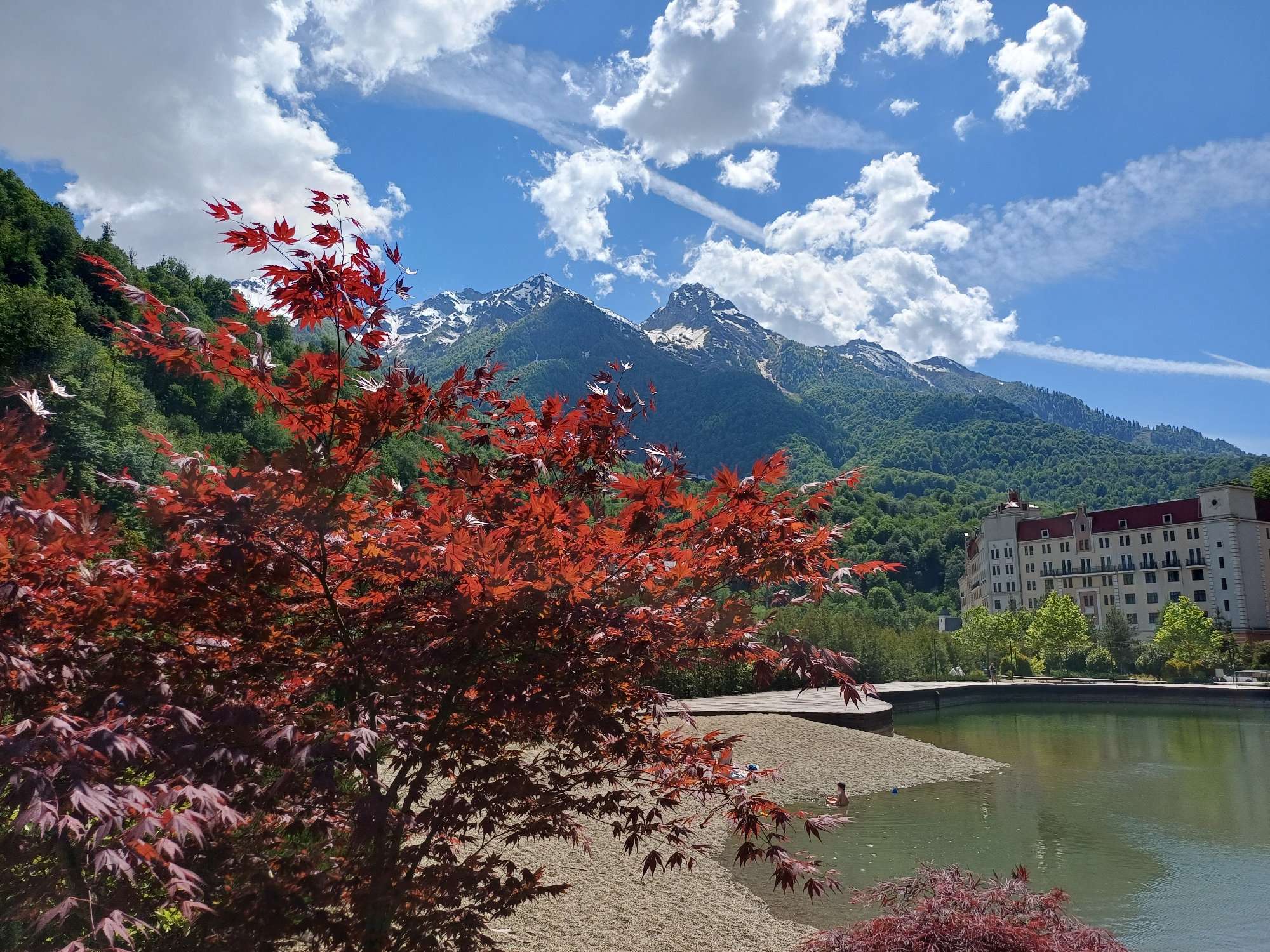 This scenic photograph captures a vibrant mountain landscape in Estosadok, Russia, under a bright blue sky filled with scattered white cumulus clouds and wispy cirrus clouds, one showing a distinct contrail.
In the immediate foreground, a striking tree or large bush with vivid red, maple-like leaves dominates the left side, its foliage appearing almost luminous in the sunlight. Beyond this prominent plant, a calm, greenish-blue body of water, likely a lake or large pond, occupies the midground. A light-colored sandy or gravelly bank curves into the water, and two individuals are visible wading or sitting in the water near the shore. A paved or wooden walkway stretches along the far side of the water.
The background is defined by imposing mountains. Their lower slopes are densely covered with lush green forests, while their higher elevations are adorned with patches of snow, indicating a significant altitude. On the right side, nestled against the mountainous backdrop, stands a large, multi-story building with a prominent red roof, numerous windows, and a light-colored facade, characteristic of a resort or hotel. A faint figure of a person can be seen walking on a path near this building.
The image conveys a sense of tranquility and natural beauty. The time of day is bright daylight, likely midday or early afternoon, given the clear sky and strong illumination. No visible text is present in the image.