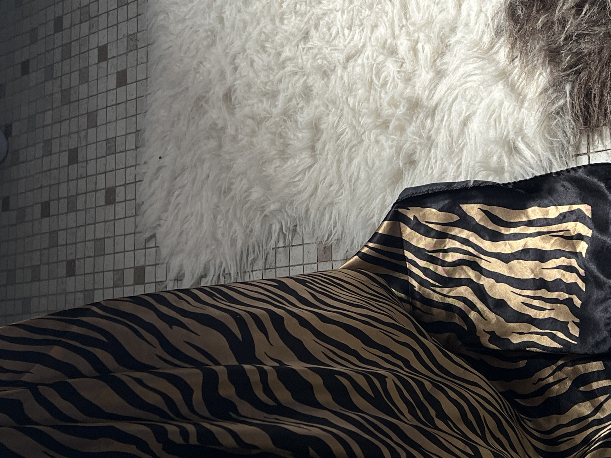 The image shows a close-up of a zebra-print fabric draped over a fluffy white rug. The fabric is black and tan, with the characteristic stripes of a zebra. The rug is soft and plush, and it covers a tiled floor. The lighting suggests an indoor setting, possibly a room with natural light filtering in. There is no indication of the specific location within Singapore, Singapore, but the scene depicts a still life arrangement of textiles and flooring.