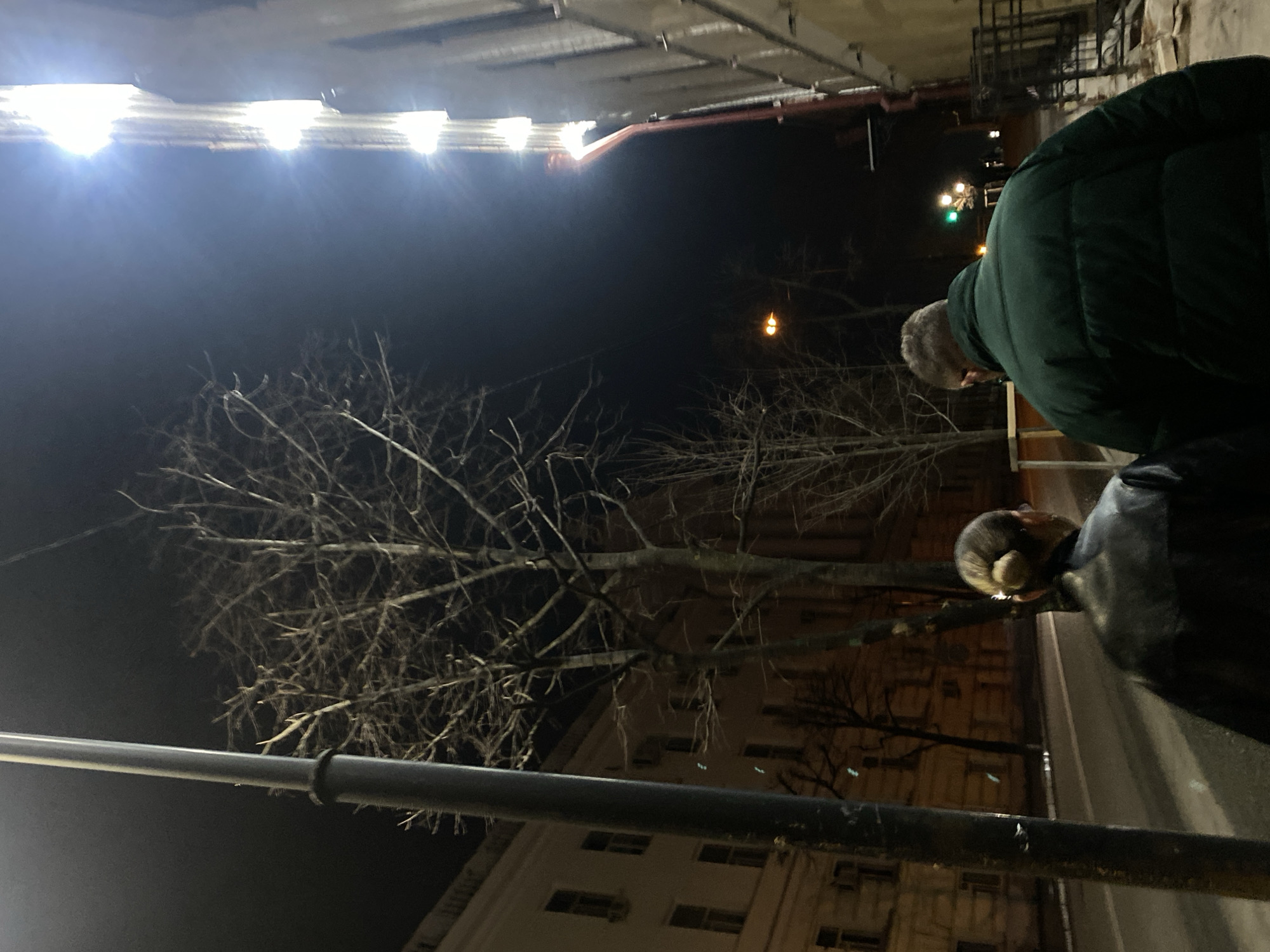 The image shows a night scene in what appears to be an urban setting. There are two people visible: one wearing a green puffer jacket and another with their hair tied up, wearing a black jacket. The two individuals are looking in opposite directions. The surrounding environment includes a leafless tree, buildings, and streetlights. A horizontal pole or railing stretches across the bottom part of the frame. Based on the architectural style of the buildings and the streetlights, it is not possible to definitively identify the exact location as Kazan, Russia. Further information would be needed.