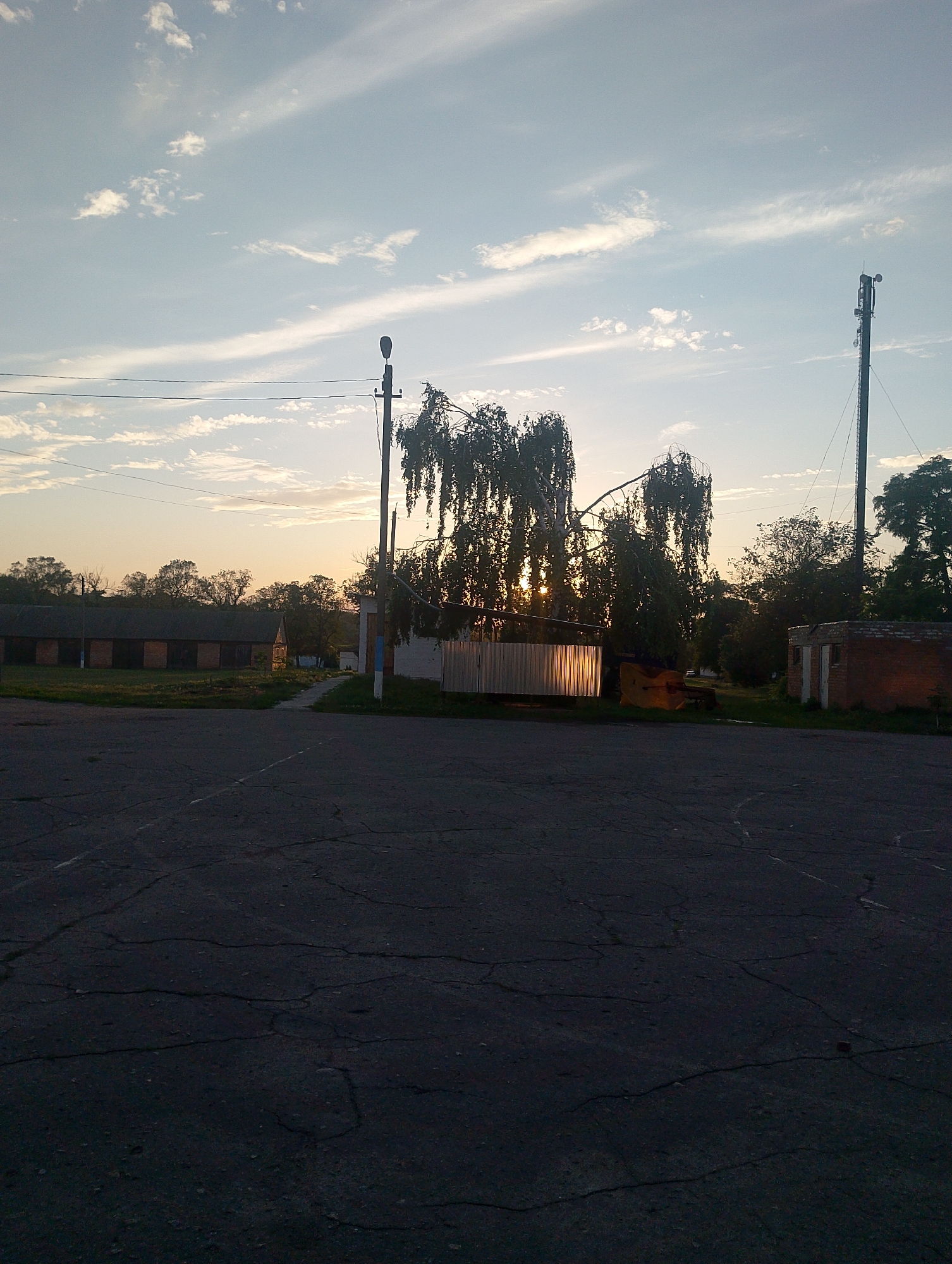 The image captures a rural scene in Ustyvytsia, Ukraine, during either sunrise or sunset. The foreground is dominated by a cracked asphalt surface. In the middle ground, a row of long, single-story brick buildings with dark roofs stretches across the left side of the frame, featuring several large, dark garage-like doors. A narrow path leads towards the center of the scene. A tall, slender structure with a pointed roof, possibly a small church or steeple, is visible behind the path. To the right of the path, a low-lying, corrugated metal structure is present, and further right, a small brick building with two white doors stands.
The background is filled with lush green trees. The sky above is a pale blue, adorned with wispy white clouds. A prominent streetlight stands near the center of the image, and a taller communication tower with antennae is situated on the far right. The sun's rays are visible peeking through the dense foliage of a large tree with hanging branches, casting a warm, golden light. No people are visible in the image. The overall atmosphere suggests a quiet, possibly agricultural, area.