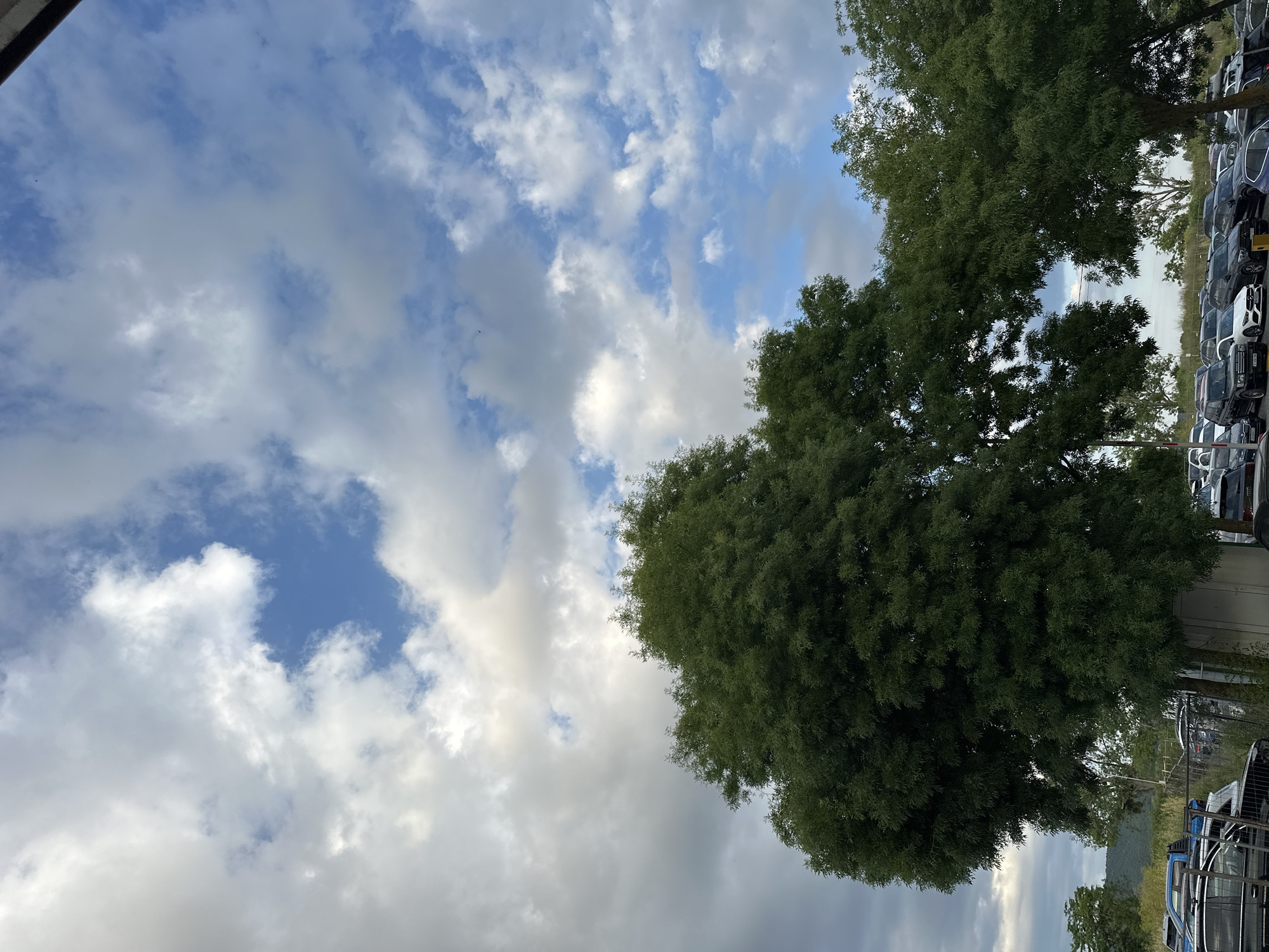 A view of a parking lot in Sozopol, Bulgaria, under a cloudy sky. The foreground features a large, dense green tree. Behind the tree, rows of cars are parked. The sky is a mix of blue sky and scattered clouds.