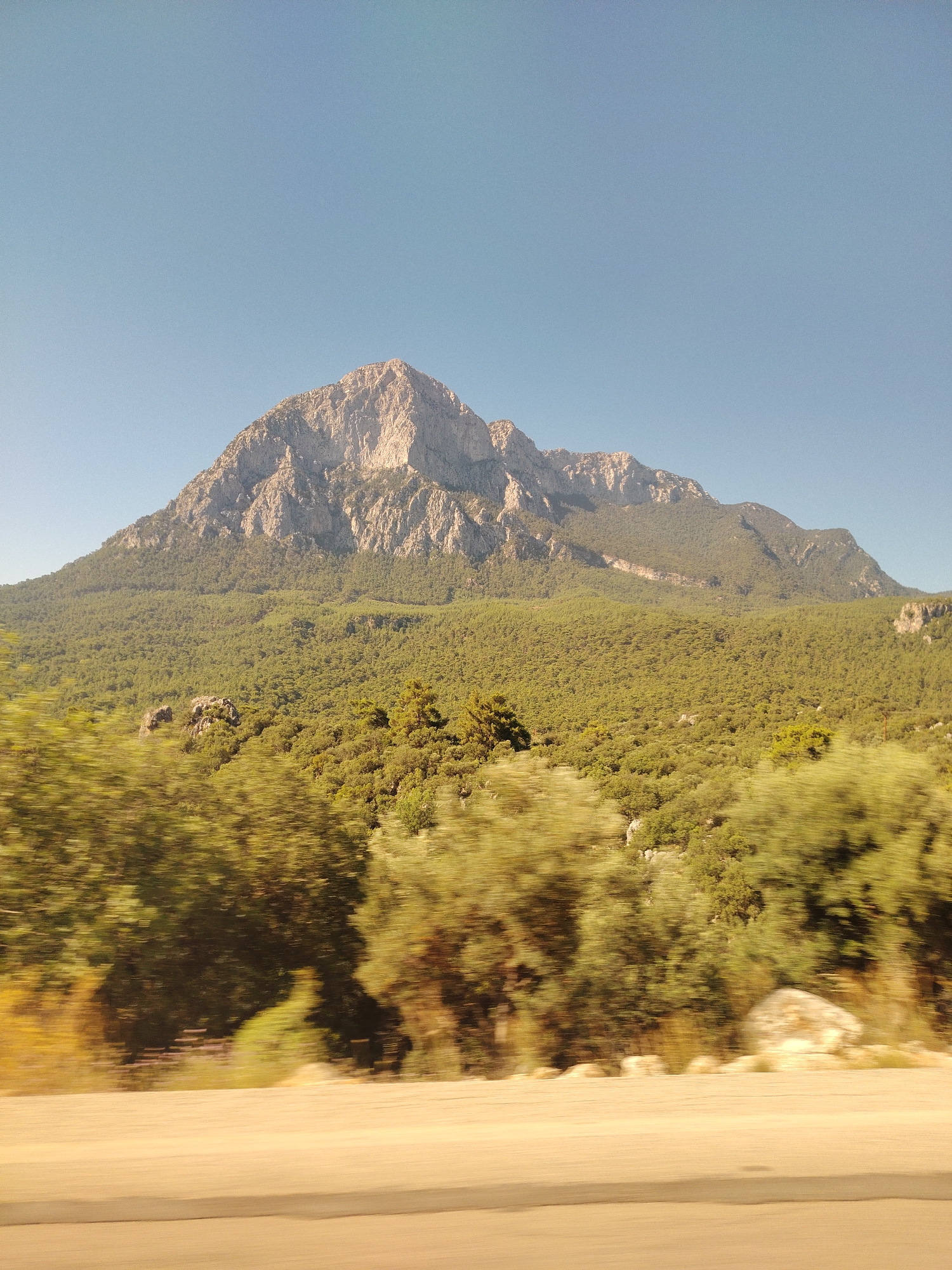A majestic mountain range dominates the scene, its rugged peaks bathed in sunlight. The mountain is covered in dense green vegetation, transitioning to rocky terrain at higher altitudes. In the foreground, a blurry expanse of trees suggests movement, possibly from a vehicle. The sky is a clear, bright blue. This vista is characteristic of the natural beauty found in and around Konyaaltı, Turkey.