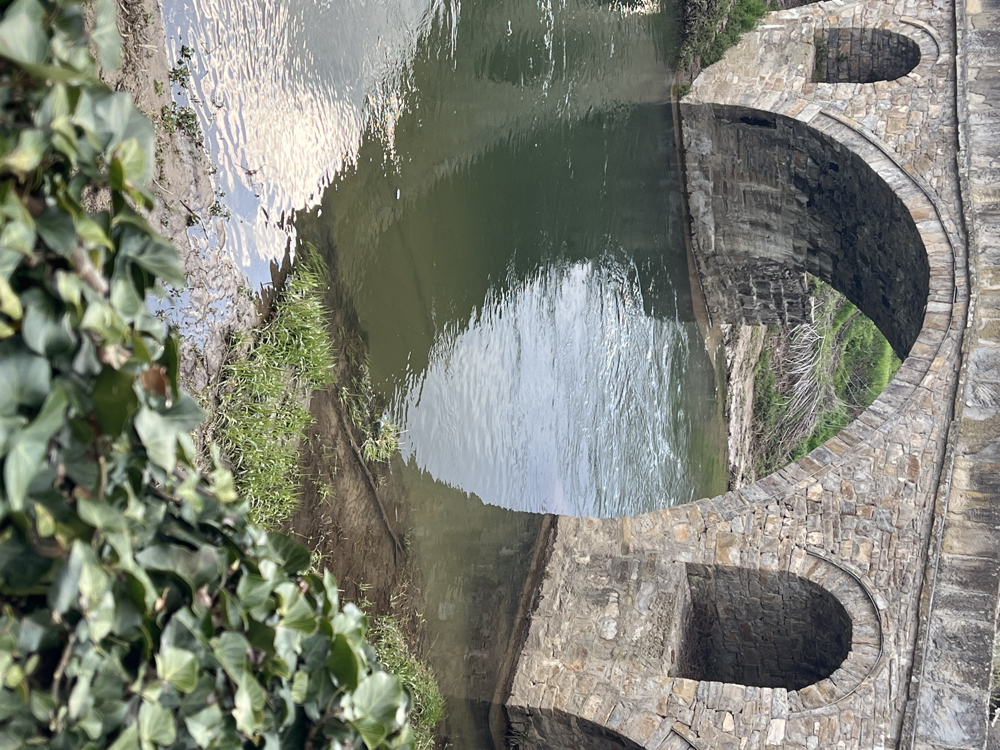 The image shows a stone bridge over a river in the city of Dryanovo, Bulgaria. The bridge has an archway and a small opening above it. Ivy covers the riverbank on one side of the bridge. The water reflects light and sky. The bridge appears to be of historic or traditional design.