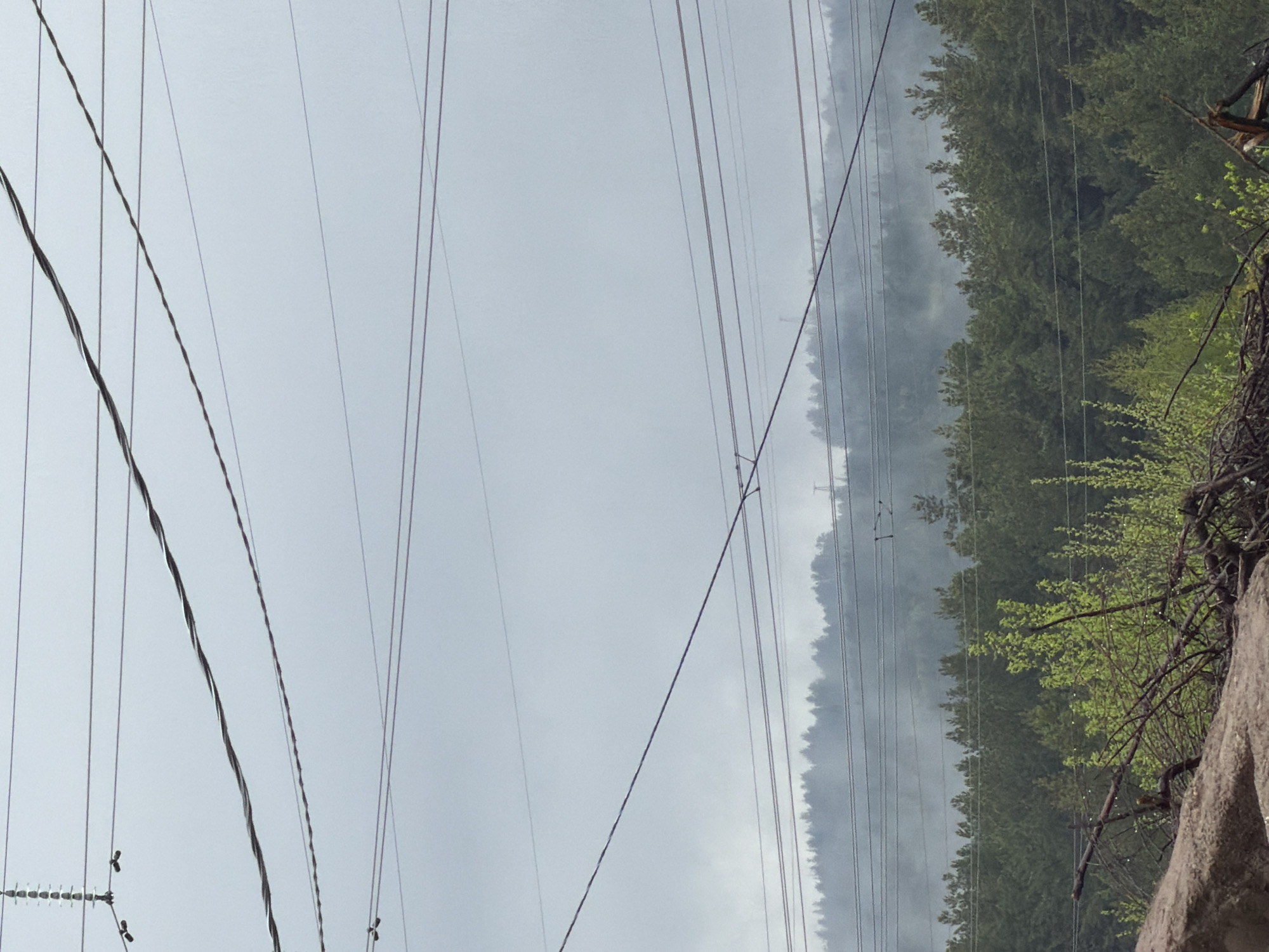 The image shows a view of a natural environment with power lines in the foreground. The sky is overcast and grey. In the background, there is a dense forest with varying shades of green. The power lines are suspended across the scene, with several running parallel. On the right side, there's a rock formation with vegetation growing on and around it. Based on the prompt's location, this scene is assumed to be within the Chaikovsky region of Russia.