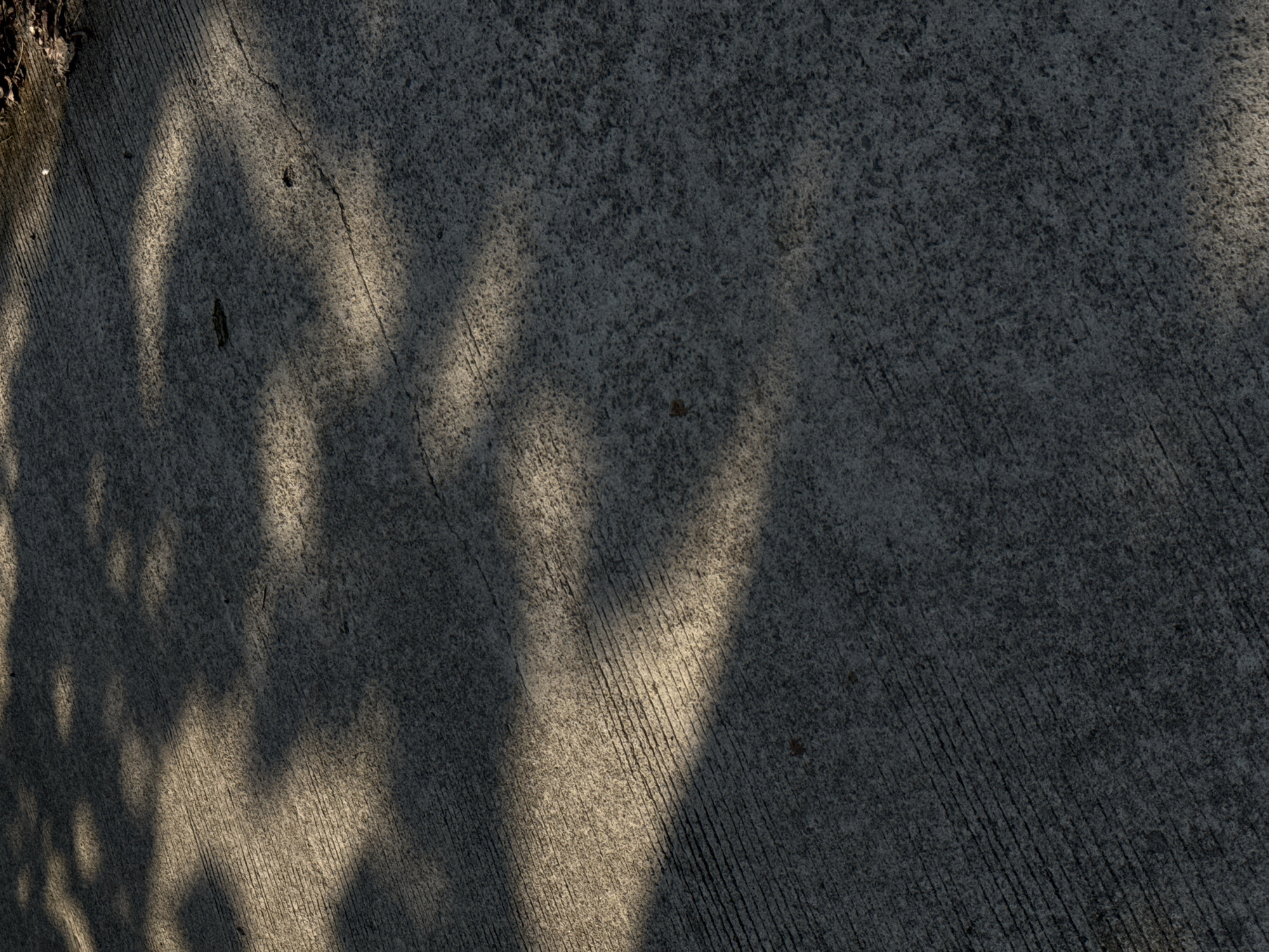 A close-up, angled view shows a textured concrete surface with parallel grooves, likely a sidewalk or pathway. Sunlight casts dappled shadows from unseen foliage across the ground, creating areas of light and dark. A few small debris, possibly leaves or twigs, are visible on the surface. The overall scene is devoid of human presence or activity, focusing solely on the interplay of light and shadow on the urban ground. The location is an unspecified area within the city of Alian, Indonesia.