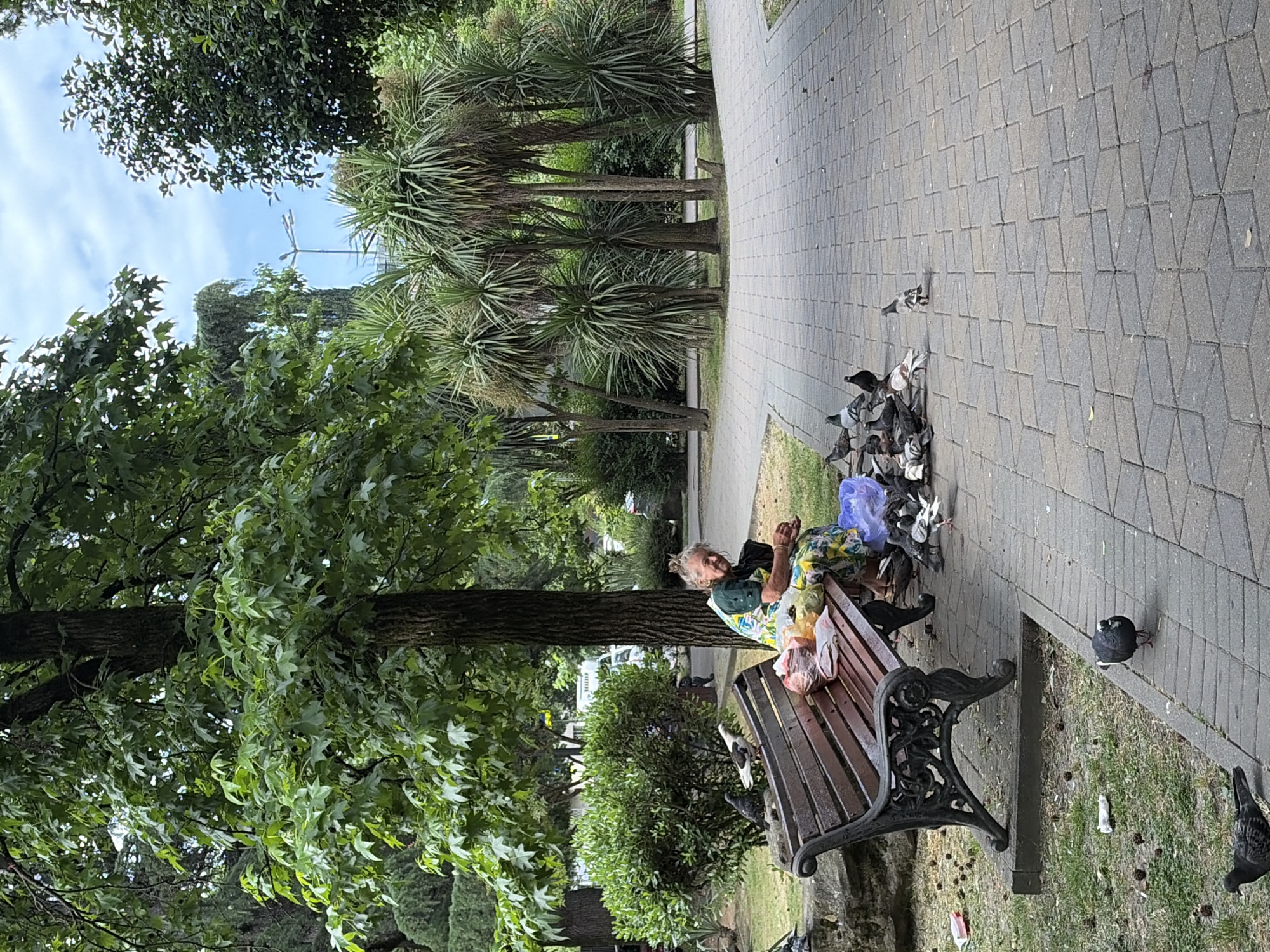 An elderly woman sits on a park bench in Sochi, Russia, feeding a flock of pigeons. The bench is made of dark wood with ornate black iron legs. On the bench beside her are several plastic bags filled with what appears to be food for the birds, along with some food items scattered on the seat. The woman is wearing a colorful floral dress and has her hair tied up in a bun.
The pigeons are gathered around the bench and on the paved walkway in front of it, pecking at the food. Some pigeons are also on the grass to the left of the bench. The environment is lush and green, with large trees providing shade, and palm trees in the background. The walkway is paved with interlocking hexagonal stones. The overall scene suggests a peaceful moment in a public park.