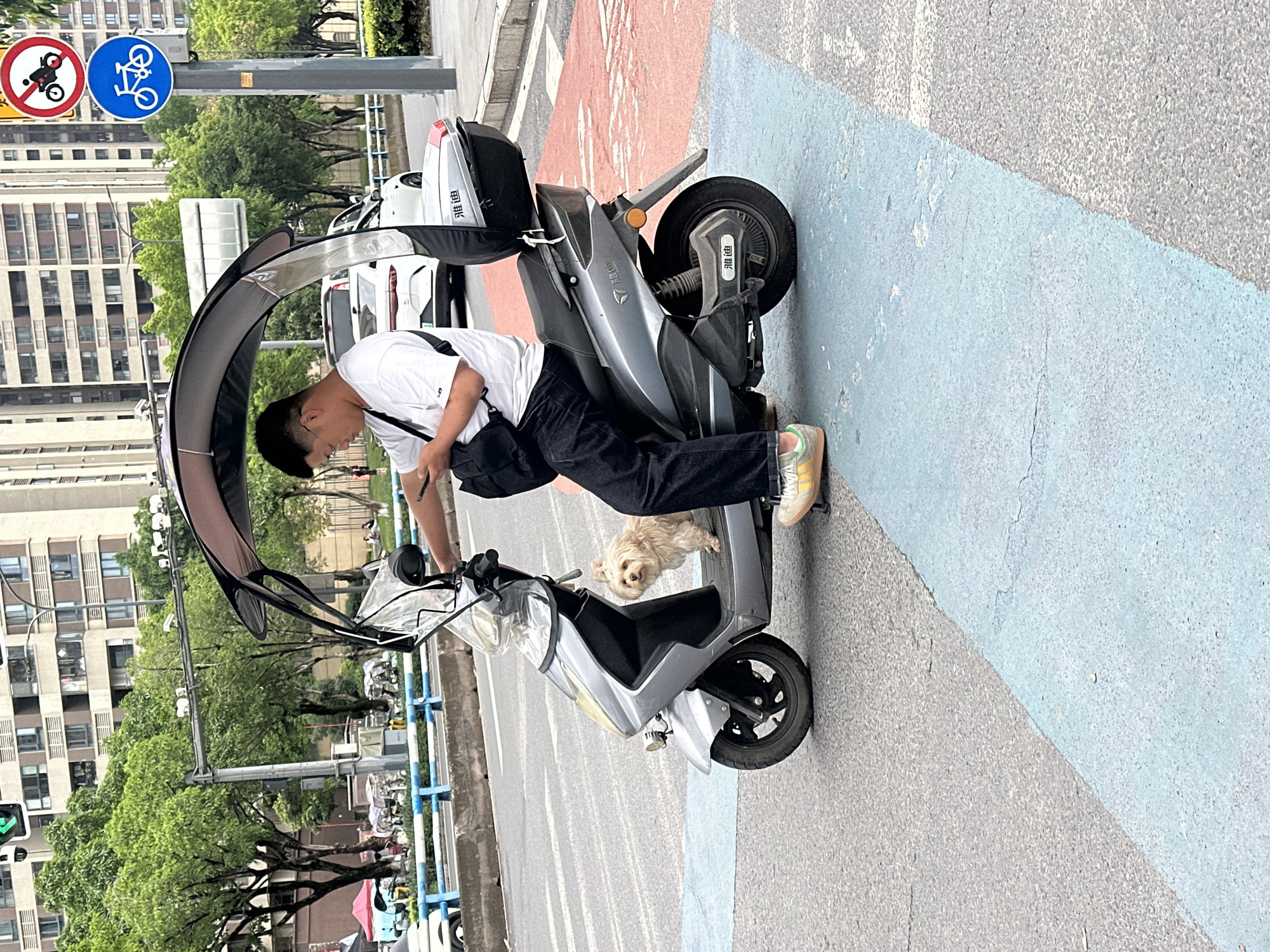 A man is seen stationary on a silver electric scooter with a canopy attached, on a street in Chongqing High-tech Zone, China. A small, light-furred dog sits in the footrest area of the scooter. The man is wearing a white shirt, dark pants, and light-colored Adidas sneakers. He appears to be looking at the scooter's controls. The scooter has a storage box attached behind the seat. In the background are buildings, trees, and a street with other vehicles. A traffic sign indicating "no motorcycles" and "bicycle path" is visible. The ground is painted with blue, red, and gray markings.