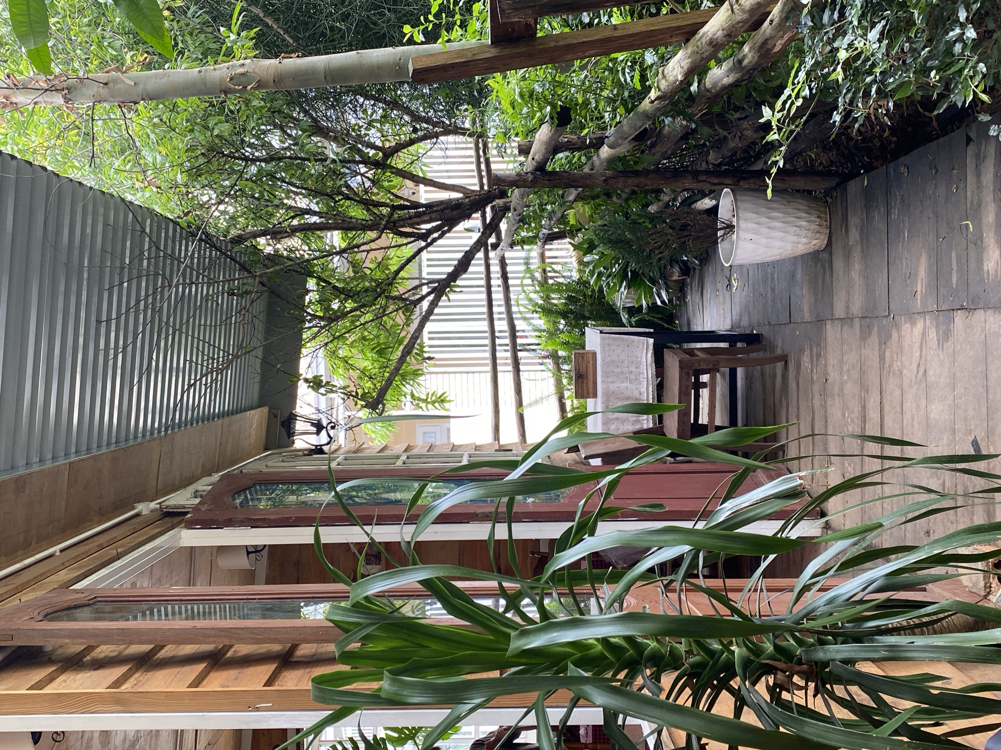 The image depicts an outdoor seating area of a cafe or restaurant, likely in Lâm Viên - Đà Lạt, Vietnam, given the presence of lush greenery and a wooden deck. The scene is viewed from a low angle, focusing on a wooden walkway that runs alongside a building with wooden siding and glass-paneled doors. To the left, a large potted plant with long, green, strap-like leaves dominates the foreground.
The walkway is furnished with a simple wooden table covered with a white cloth, and a wooden chair. In the background, a rustic wooden fence separates the seating area from a dense garden filled with various plants, including ferns and trees. A tall, pale-barked tree stands prominently on the right side of the image, its branches extending towards a corrugated metal roof that overhangs the walkway. A white, textured planter containing a small plant sits on the wooden deck near the fence. Natural light filters through the leaves and the roof, creating dappled shadows on the walkway. The overall atmosphere is relaxed and natural, suggesting an outdoor dining or resting space integrated with its environment.