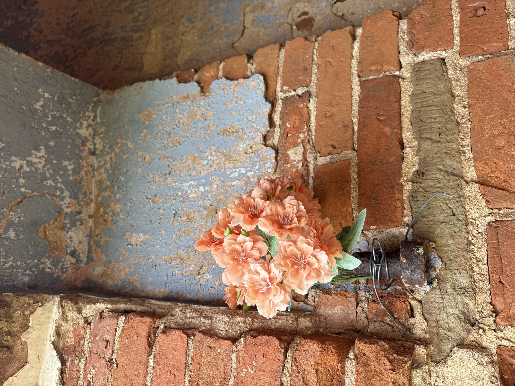The image depicts a close-up view of a weathered corner of an old structure in Staroe Rakomo, Russia. The scene is dominated by exposed brickwork and crumbling, peeling paint.
The main subjects are two perpendicular brick walls, forming a recessed corner or niche. The bricks are reddish-brown, aged, and show signs of wear and erosion, with rough, light-colored mortar between them. On the left and top sections of the image, a surface is covered with heavily chipped and flaking paint, revealing layers of light blue-grey paint over darker, possibly rust-colored or original wall material. This creates a textured pattern of decay.
Resting on a brick ledge or protrusion near the center-right is a small cluster of artificial flowers. These flowers are a soft peach or light orange color, with multiple blooms and a few green leaves, providing a subtle contrast to the rustic surroundings. To the right of the flowers, embedded in the brickwork, is a rusted, cylindrical metal object, possibly a pipe fragment or a bolt. A piece of dark, bent wire is loosely wrapped around this metal object, seemingly to secure or display the flowers, or perhaps it's just discarded debris.
The overall impression is one of forgotten beauty amidst decay, with the artificial flowers offering a poignant splash of color and a hint of human presence or remembrance in an otherwise dilapidated setting. There is no visible text, and the time of day or weather conditions are not discernible from the enclosed nature of the shot.