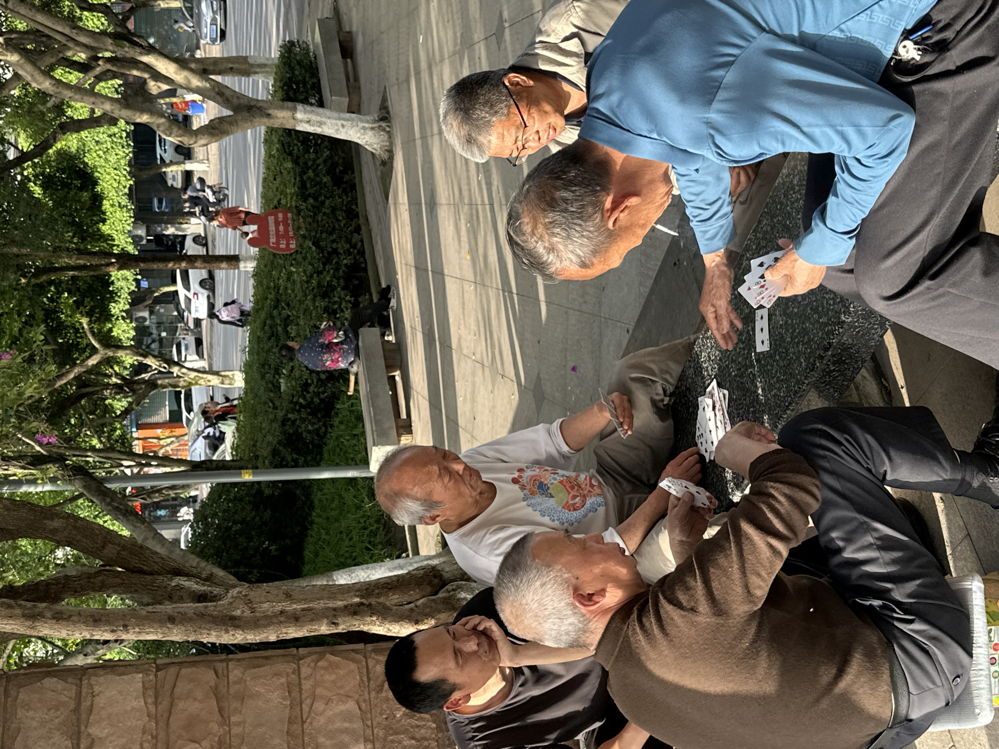 This image captures a vibrant outdoor scene in Jiangjin, China, featuring a group of mostly elderly men engrossed in a card game on a sunny day. The photograph is taken from a slightly elevated perspective, looking down on the gathering.
The central focus is a group of at least six men, primarily older with graying hair, gathered around a card game. Three men are actively playing: one in a blue long-sleeved shirt leans forward, concentrating on the cards in his hand, with more cards visible on the dark, speckled ground in front of him. Another older man in a white short-sleeved shirt with a colorful graphic design holds his hand of cards, looking intently at the game. A third player, wearing a brown long-sleeved shirt, also holds cards while sitting. Several other men observe the game, including one with glasses in a beige jacket and a younger man with dark hair on the far left.
The setting appears to be a paved public area, possibly a wide sidewalk or plaza, lined with mature trees that cast distinct shadows, indicating bright sunlight. In the background, a bustling street is visible with several cars and scooters, along with pedestrians. A red sign with white Chinese characters stands near the street, and a person in a red garment is walking nearby. Further down, another individual in a floral-patterned shirt sits on a bench, while green hedges and bushes line the area. The overall atmosphere conveys a sense of relaxed social interaction and engagement in a common public pastime.