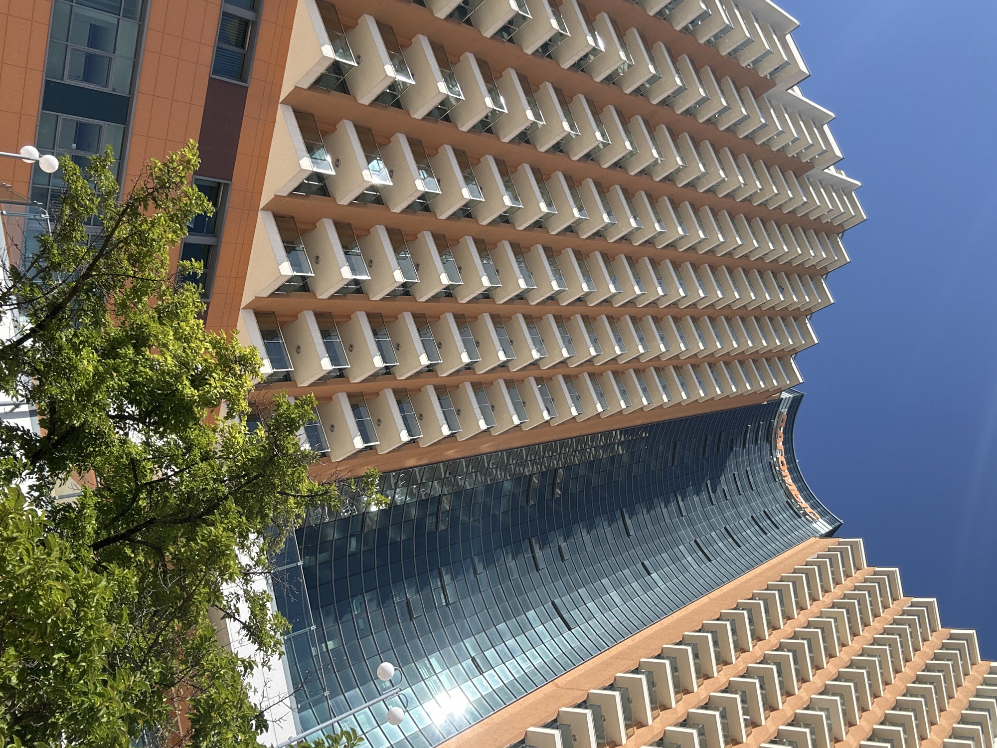 The image captures the exterior of a modern skyscraper in Sochi, Russia, featuring a distinctive curved facade of dark glass and many cantilevered balconies. The building's design emphasizes its height and architectural modernity. The clear blue sky suggests it is a sunny day. The foreground is partially obscured by lush green foliage from a tree, adding a natural element to the urban landscape. The composition is an upward-looking perspective, highlighting the scale of the structure.