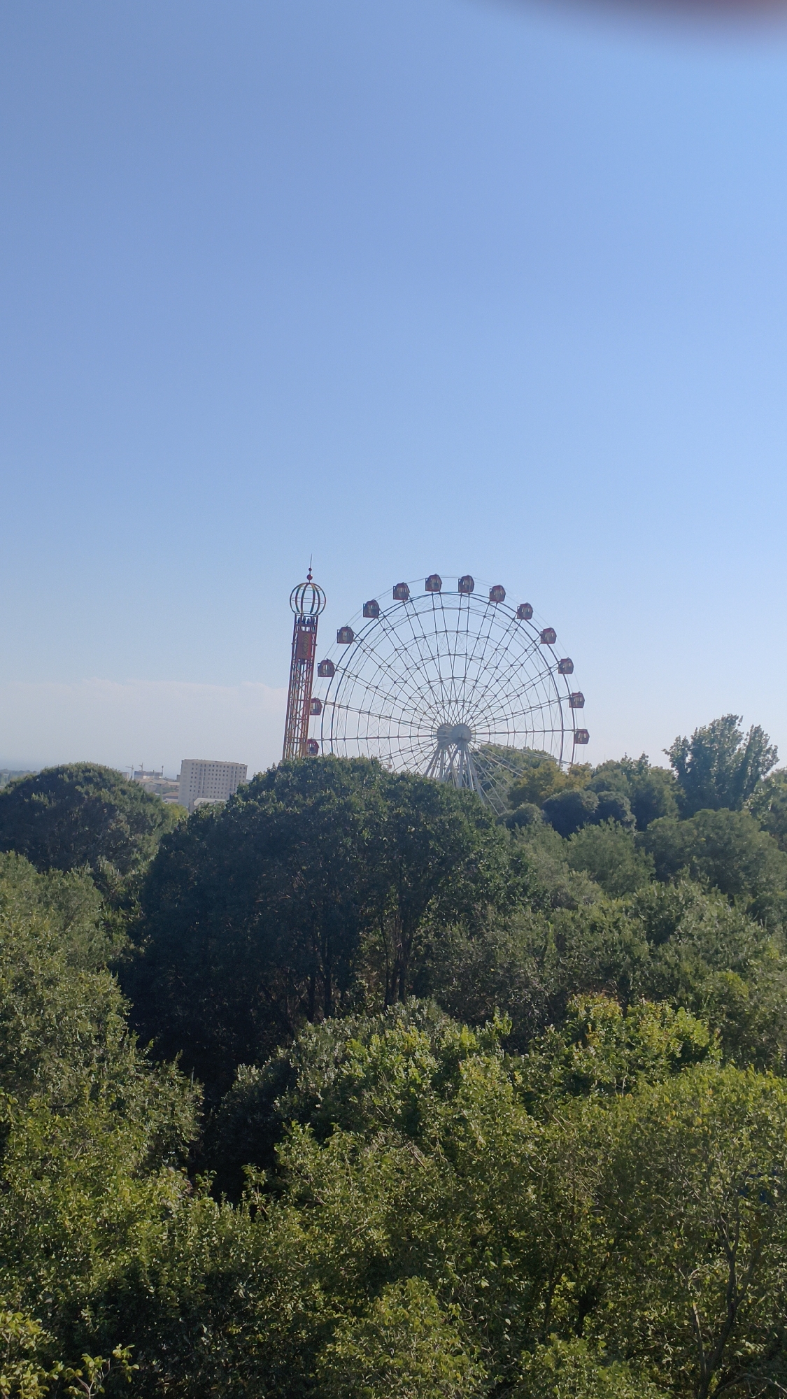 An outdoor vertical shot captures a panoramic view of an amusement park nestled within a dense forest on a clear, blue sky day. In the foreground, a lush canopy of green trees dominates the lower half of the frame, their leaves a vibrant mix of dark and light shades. Peeking through the foliage in the middle ground are the iconic structures of an amusement park. A large Ferris wheel, its metallic spokes forming a circular pattern against the sky, stands prominently to the right. To its left, a tall, slender tower-like ride, painted in red and adorned with a crown-like structure at its apex, is visible. In the background, beyond the amusement park, a few buildings, including a multi-story structure, suggest the presence of a city. The overall scene depicts a sunny day with a vast expanse of clear blue sky overhead, indicating fair weather.