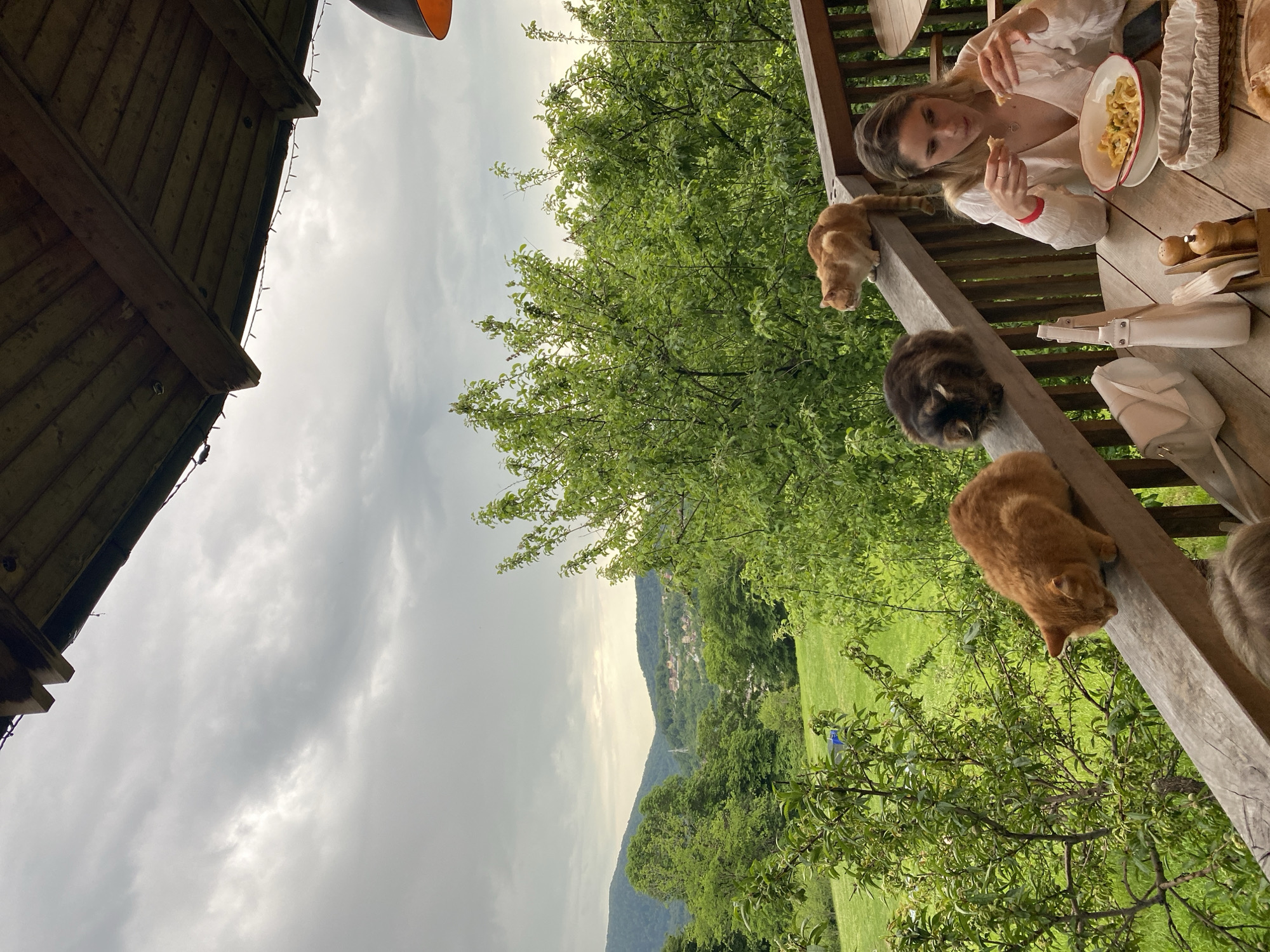 A woman is eating food at a wooden table on a veranda. Three cats are on the railing of the veranda. The environment appears rural with a view of green trees and a mountain in the distance under a cloudy sky. The location is Прогресс, Russia.