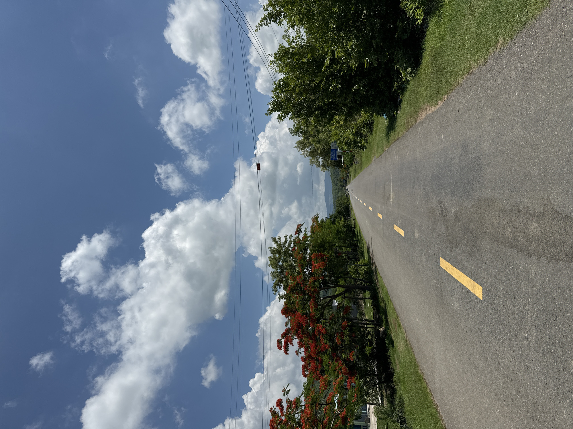 A straight, paved road extends into the distance under a bright blue sky with scattered white cumulus clouds. Yellow lines mark the lanes of the road. Lush green trees and vegetation line both sides of the road, with a vibrant tree bearing bright red flowers on the left. In the distance, a hazy mountain range is visible. Power lines crisscross the sky overhead. The scene appears to be a rural or suburban setting in Ham Thuan Bac, Vietnam, given the presence of tropical flora and the style of the road and surrounding environment. There are no people or animals clearly visible in the immediate foreground.