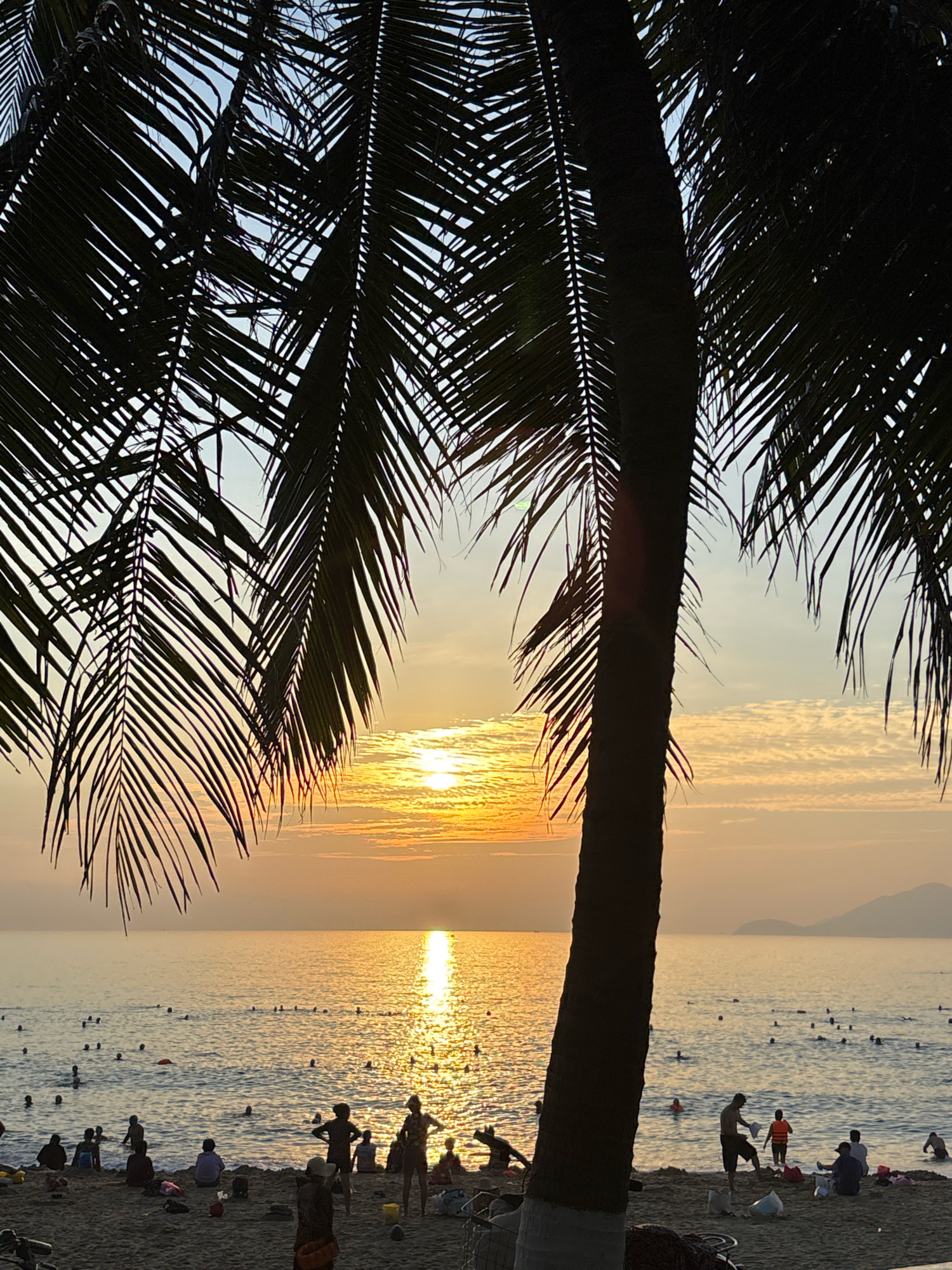 This is a photograph of a beach scene in Nha Trang, Vietnam during sunset. The foreground is dominated by the silhouette of a large palm tree with its fronds obscuring the top left and right portions of the image. The trunk of the palm tree is to the right of the center. Beyond the palm tree, a calm ocean stretches to the horizon, reflecting the warm golden hues of the setting sun. The sun itself is visible in the middle distance, low in the sky, creating a brilliant shimmer on the water. The sky is a soft gradient of orange, yellow, and pale blue, with some wispy clouds.
On the sandy beach in the middle ground, several people are visible. Some are sitting or standing, while others are in the shallow water. The water is populated by numerous individuals swimming or wading. The overall atmosphere is one of a relaxed evening at a popular coastal destination. The specific location within Nha Trang is not definitively identifiable from the image alone, but the presence of a beach, ocean, and palm trees is characteristic of many coastal areas within the city.