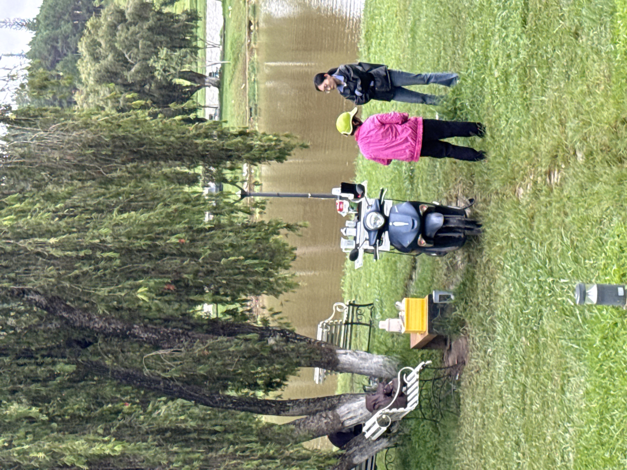 An outdoor scene captured from a slightly elevated perspective shows two individuals on a grassy bank next to a calm body of water. The image is set in what appears to be a park or recreational area, with the location identified as Phường Xuân Hương in Đà Lạt, Vietnam, suggesting Xuân Hương Lake.
In the foreground, a prominent tree with a thick, textured trunk and lush green foliage dominates the left side of the frame. Several white and black metal benches or chairs are placed around the base of this tree and further back, some with cushions. A small wooden table with a yellow crate and other undefined items sits near one of the benches.
Towards the center-right, a dark blue scooter or moped is parked on the grass, with a tall pole, possibly a light stand or selfie stick, attached to it. Behind the scooter, closer to the water, stand two people. One individual on the left wears a black jacket, blue jeans, and glasses, looking down towards the ground or water. The other person, on the right, is dressed in a bright pink jacket and a lime green helmet, also facing towards the water with their head slightly lowered. They appear to be observing something near the water's edge or simply pausing during a stroll.
The body of water reflects the overcast sky, giving it a muted, brownish hue. The grassy area is well-maintained and green, extending into the background where more trees and subtle hints of distant structures can be seen. The lighting suggests it is daytime, possibly a cloudy day, as there are no harsh shadows. No discernible text is visible on any objects in the image.