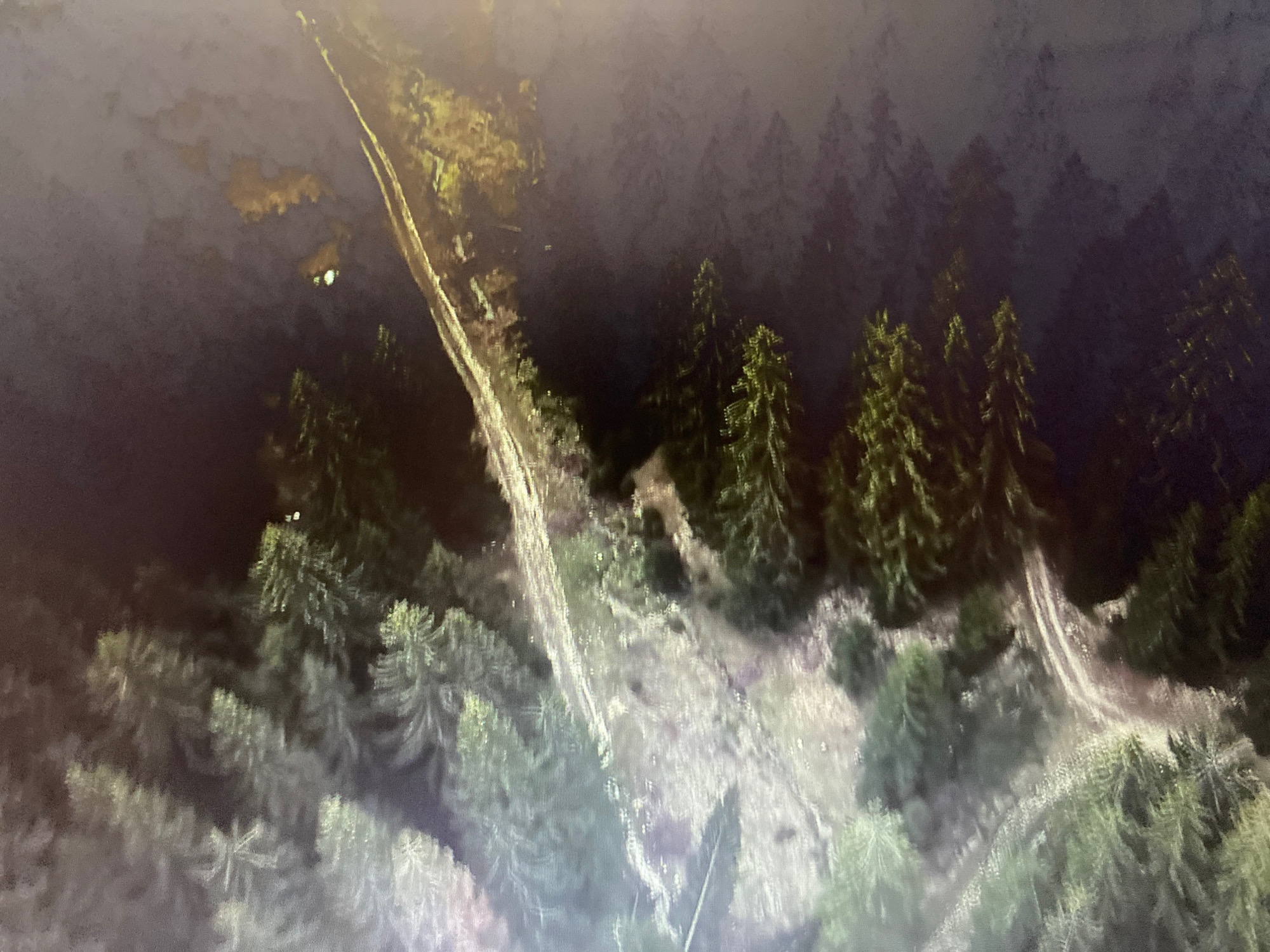 The image depicts an aerial view of a dimly lit, mountainous terrain at night. A winding dirt road or path cuts through the scene, illuminated by artificial lights. Dense evergreen trees, possibly pine or fir, cover the slopes, their branches catching the light and appearing in shades of green and yellow. Patches of lighter colored ground are visible between the trees. The overall atmosphere is dark and somewhat foggy, with the lights creating a hazy glow. The scene is consistent with a natural landscape, likely a forest or mountain area, with a road providing access.