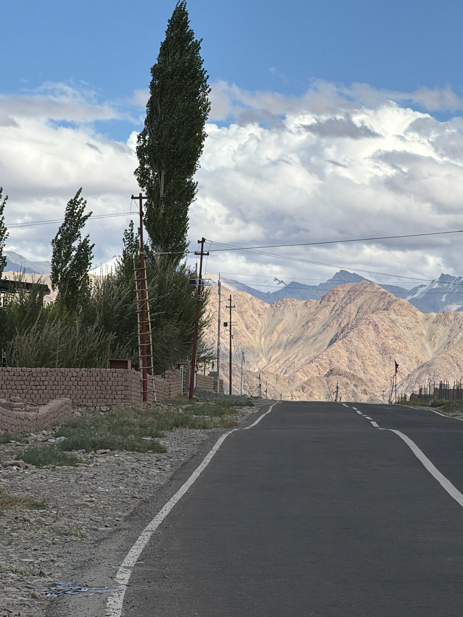 The image shows a road winding through a mountainous landscape near Yuluk, India. A tall, slender tree stands prominently on the left side of the road, with a ladder leaning against a wooden pole next to it. In the background, rugged, tan-colored mountains rise against a sky filled with white and gray clouds. The road is paved and marked with white lines. The environment appears arid, with sparse vegetation and rocky terrain along the roadside. A brick wall runs along the left side of the road in the foreground, adjacent to a grassy area. Several utility poles with wires are visible throughout the scene.