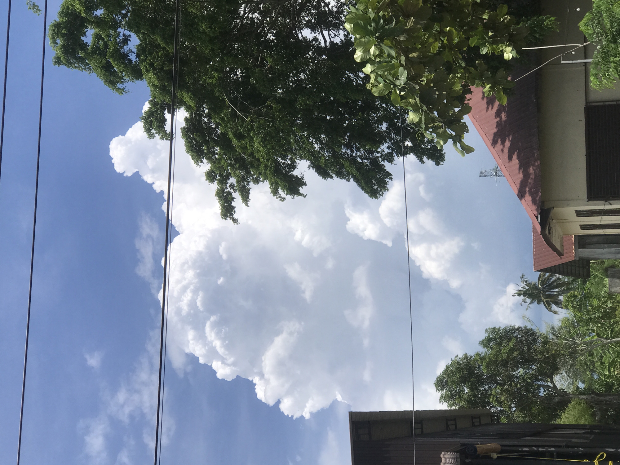 The image, taken from Lhokseumawe, Indonesia, features a low-angle view of the sky with large cumulonimbus clouds dominating the frame. Power lines traverse the left side of the image. Trees are visible on both the top and right sides of the frame, with glimpses of buildings among the foliage. A building with a red roof is partially visible at the top right. A palm tree can be seen among the other foliage in the midground. Another building's roof is visible on the bottom of the image. The sky is primarily blue with white clouds.