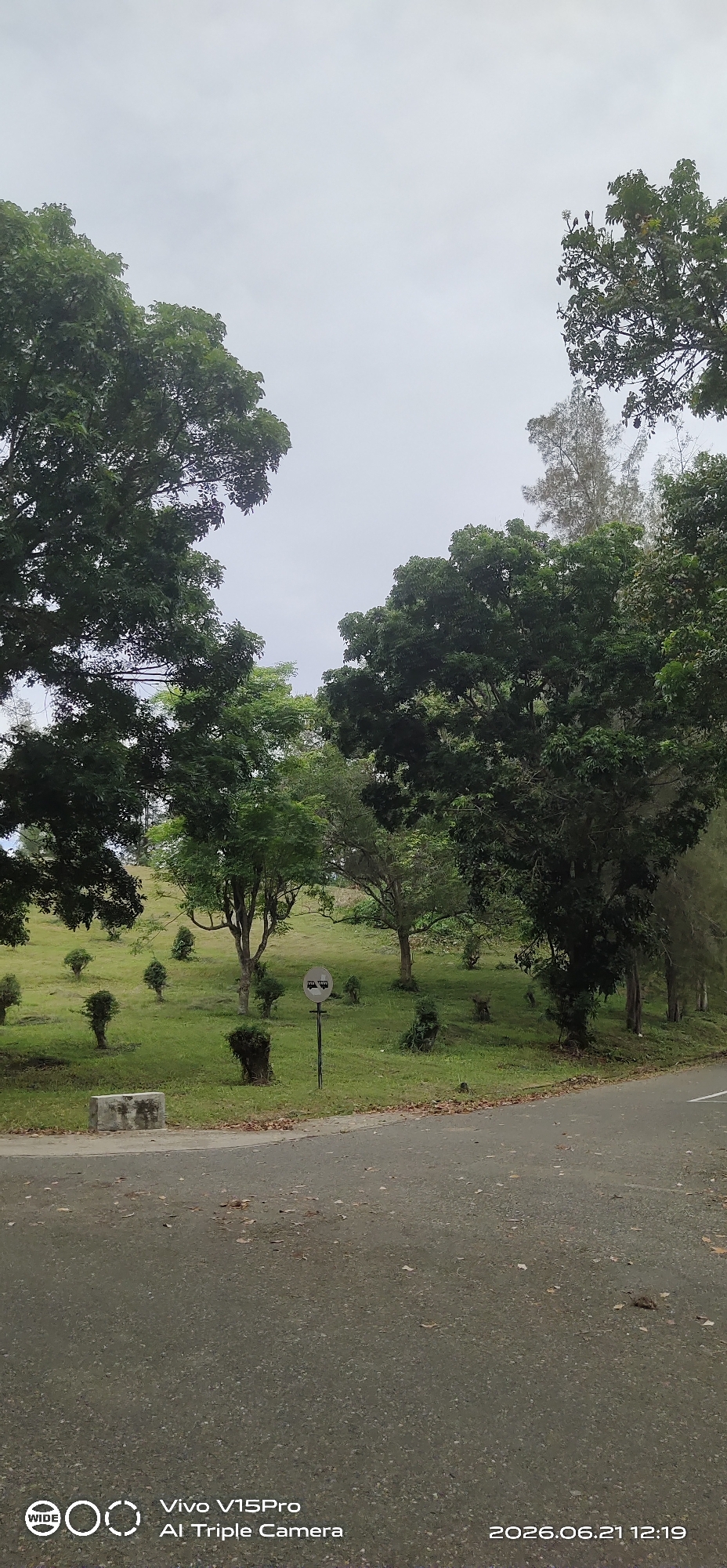 This is a vertical, eye-level outdoor photograph taken on a cloudy day. The scene depicts a paved road in the foreground, with a grassy slope rising behind it, dotted with trees and bushes. A concrete block is visible on the left side of the road. In the middle of the grassy slope, a round sign with two bus icons is posted on a pole. The sky is overcast and light gray. The bottom of the image contains a watermark indicating "WIDE Vivo V15Pro Al Triple Camera" and the date "2026.06.21 12:19".
While the exact location within Lhokseumawe, Indonesia cannot be definitively determined from the image alone, the presence of a paved road, manicured grassy slopes with trees and bushes, and a bus stop sign suggests a public park, a campus, or a well-maintained area in an urban or semi-urban environment. Lhokseumawe is known for its green spaces and universities, which could feature such landscaping.