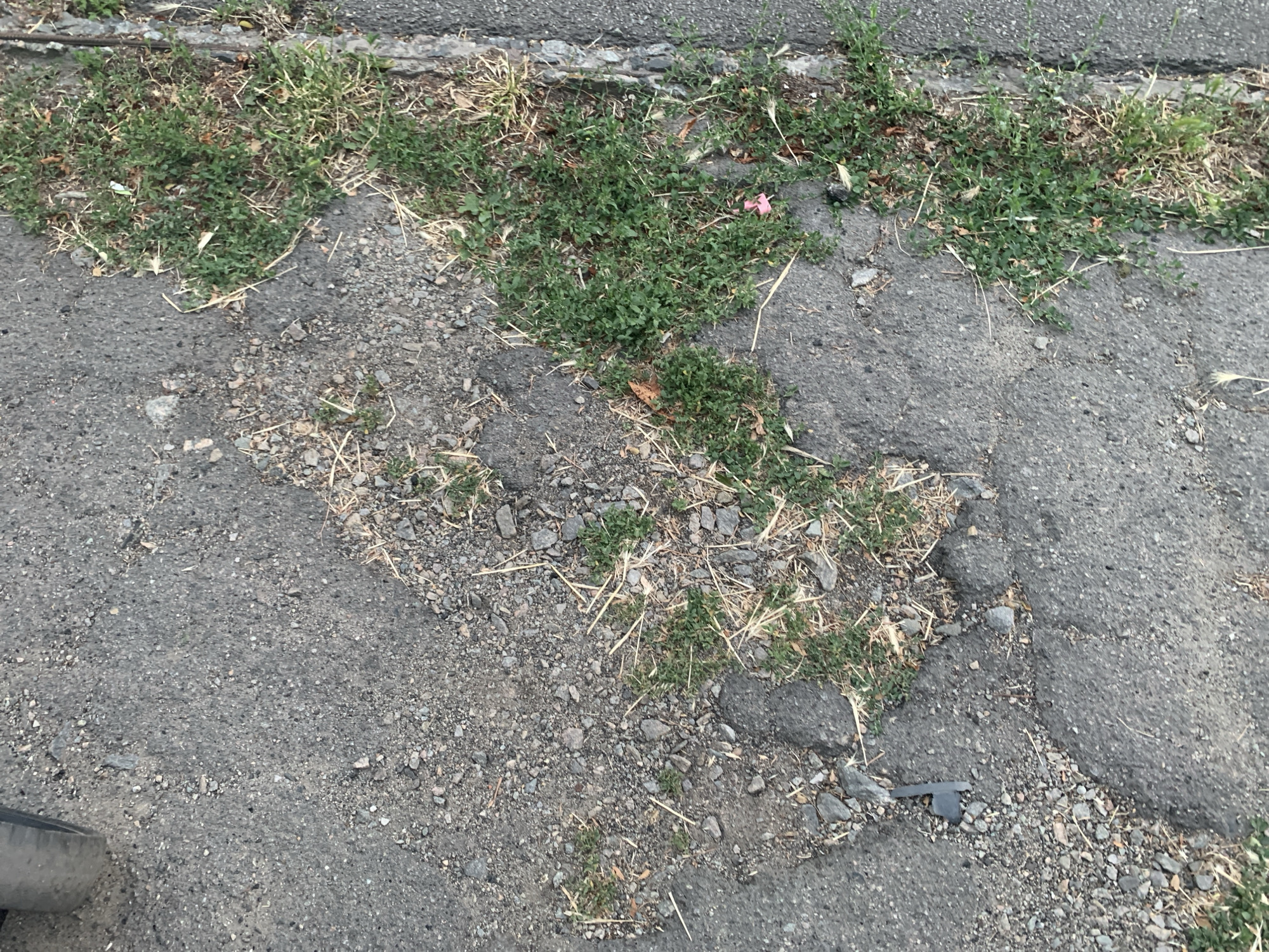 The image shows a close-up, overhead view of damaged asphalt pavement with encroaching vegetation. The asphalt is cracked and uneven, with loose gravel and debris scattered across its surface. Small patches of green grass and dry weeds are growing through the cracks and along the edges of the pavement. In the upper left corner, a portion of a dark-colored tire is visible, suggesting the area might be a roadside or parking lot. A thin, light-colored strip, possibly a curb or the edge of another paved surface, runs along the right side of the image. The overall scene depicts a state of disrepair and natural overgrowth within an urban environment.