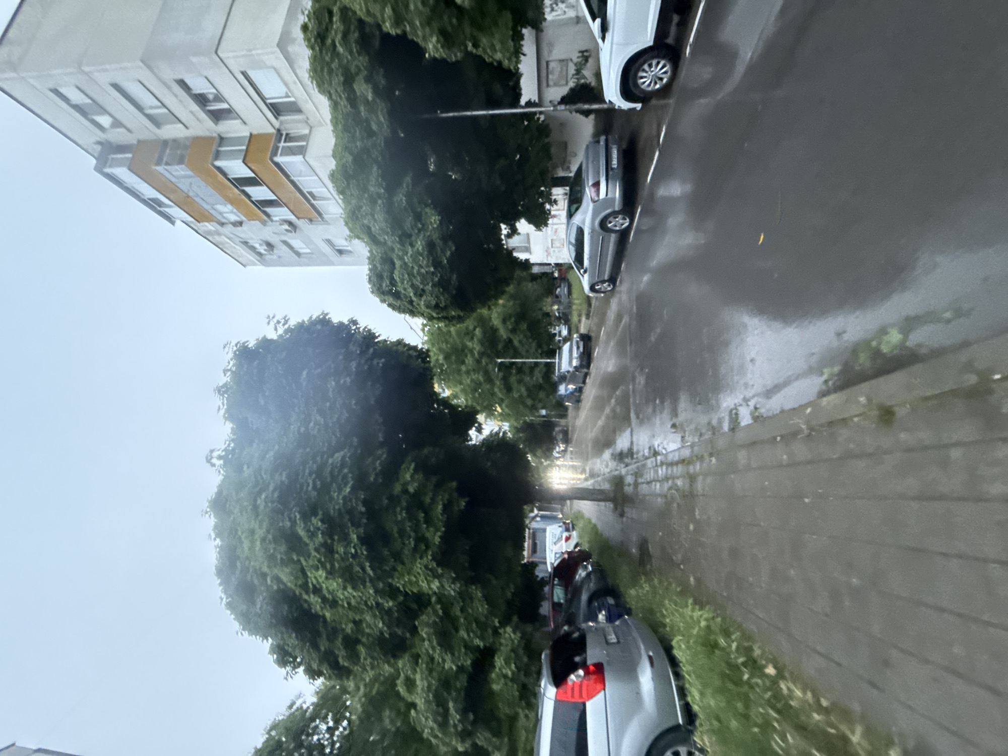 This media file, oriented sideways, depicts a street scene in Varna, Bulgaria, immediately after a rain shower.
**Subjects:** The primary subjects are an apartment building, numerous parked cars, and large trees. The multi-story apartment building, visible on the left side of the frame (when corrected for rotation), has a grey and white facade with distinctive yellow-orange balcony details on one section. Lush, green deciduous trees line the street, creating a canopy that partially obscures other buildings further down the road. Several cars are parked along the wet asphalt street and sidewalk, including a prominent silver sedan in the foreground and a white SUV further along. Other vehicles are visible in the distance, nestled among the trees. A street light pole can be seen near the middle of the image.
**Scene and Setting:** The scene is a residential street, likely in an urban or suburban area, consistent with the provided location of Varna, Bulgaria. The architecture of the apartment building and the type of vehicles parked suggest a European setting.
**Activity or Event:** No specific activity or event is taking place; the scene is static, primarily showing parked cars and the aftermath of rain.
**Notable Details:**
* **Time of day:** The sky is bright but uniformly overcast, suggesting daytime, possibly late morning or afternoon, without direct sunlight.
* **Weather:** The wet asphalt street and sidewalk, along with reflections from standing water, clearly indicate recent rainfall. The grey sky reinforces the impression of damp, cloudy weather.
* **Location Cues:** The style of the apartment building and the visible "BG" (for Bulgaria) on the license plate of the silver car confirm the location as Bulgaria, specifically Varna as per the context.
* **Emotions:** The wet, overcast conditions lend a calm, perhaps slightly muted or tranquil atmosphere to the scene.
* **Visible Text:** The country code "BG" is clearly visible on the license plate of the silver car in the foreground. Other text on license plates is not legible.