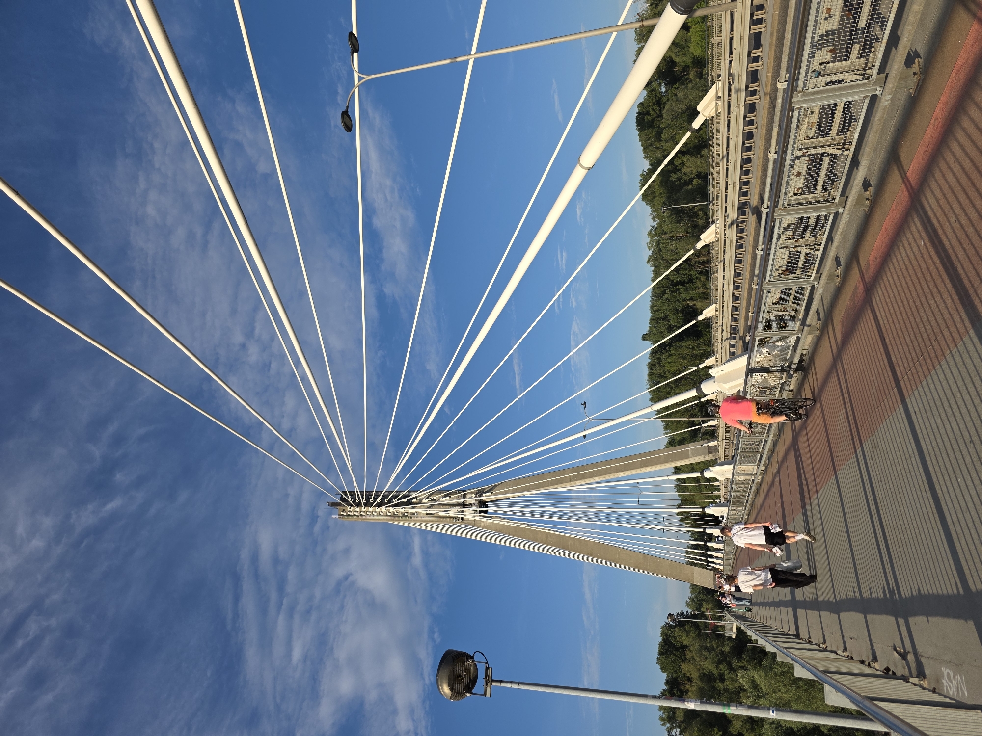 The image depicts a scene on the Świętokrzyski Bridge in Warsaw, Poland. The bridge is a cable-stayed bridge with a prominent concrete pylon and numerous white cables stretching across the frame. The sky above is a bright blue with scattered white clouds.
On the pedestrian walkway of the bridge, several people are visible. In the foreground, two young men in white t-shirts and dark pants walk away from the camera. One is carrying a white bag. To their right, a person on a bicycle wearing a bright pink shirt and orange shorts is riding in the same direction. Further down the bridge, more people can be seen walking.
The bridge has a distinctive walkway with a red-colored strip and grey paving. On the left side of the walkway, a lamppost with a large light fixture is present. On the right side, railings and metal barriers are visible, separating the walkway from the road lanes of the bridge. Beyond the bridge, a dense line of green trees forms the background, suggesting the presence of a park or natural area. The overall lighting suggests it is daytime, likely late afternoon given the angle of the shadows.