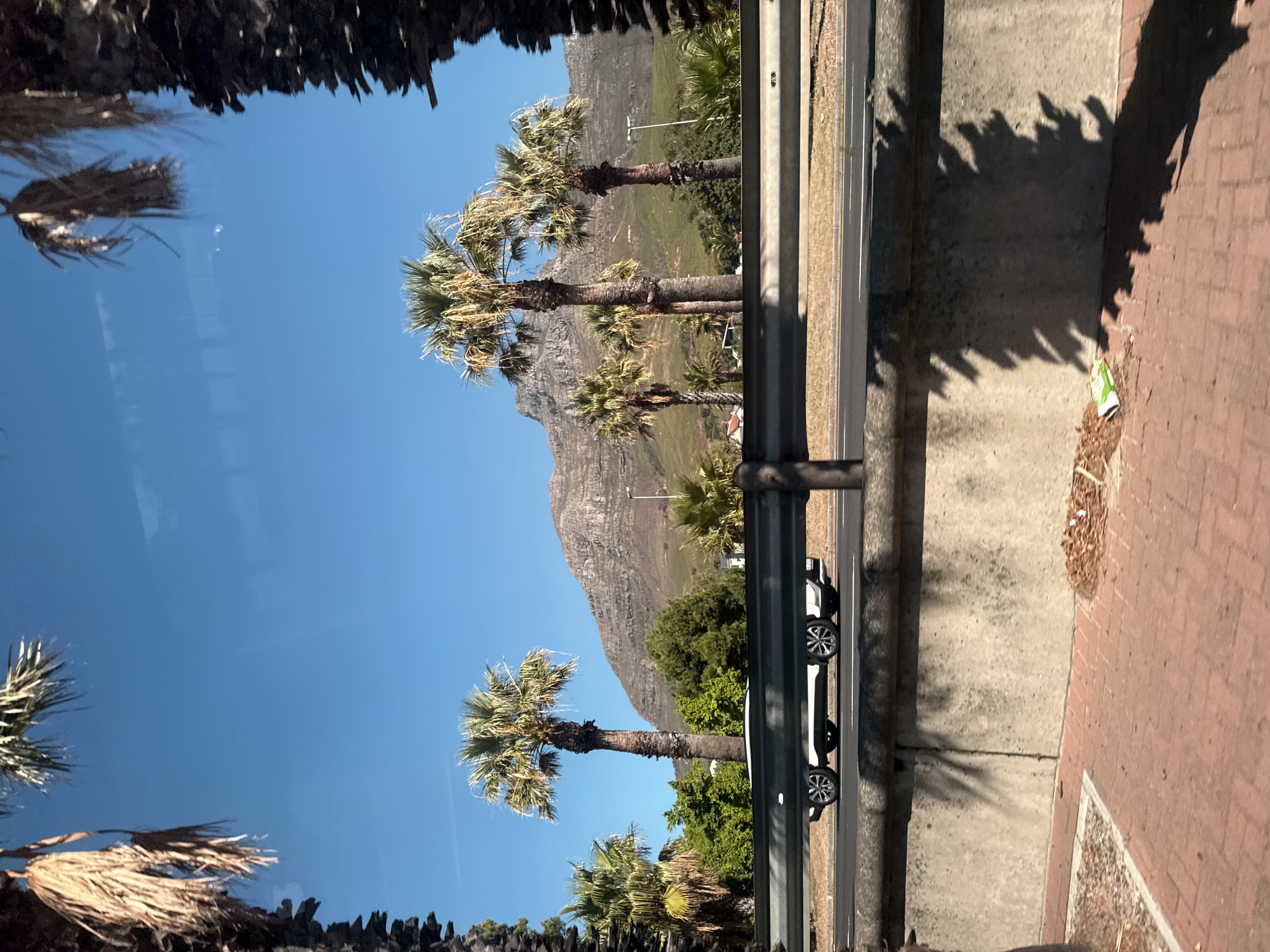 The image shows a view of Table Mountain, Cape Town, South Africa, through a window. Palm trees line a road with a white car parked along it. A concrete barrier separates the road from a pedestrian walkway. The shadows of trees are visible on the walkway, along with some litter. The sky is clear and blue. Other trees appear in the extreme foreground, but their reflection is more clearly observed from the angle and clarity of the shot.