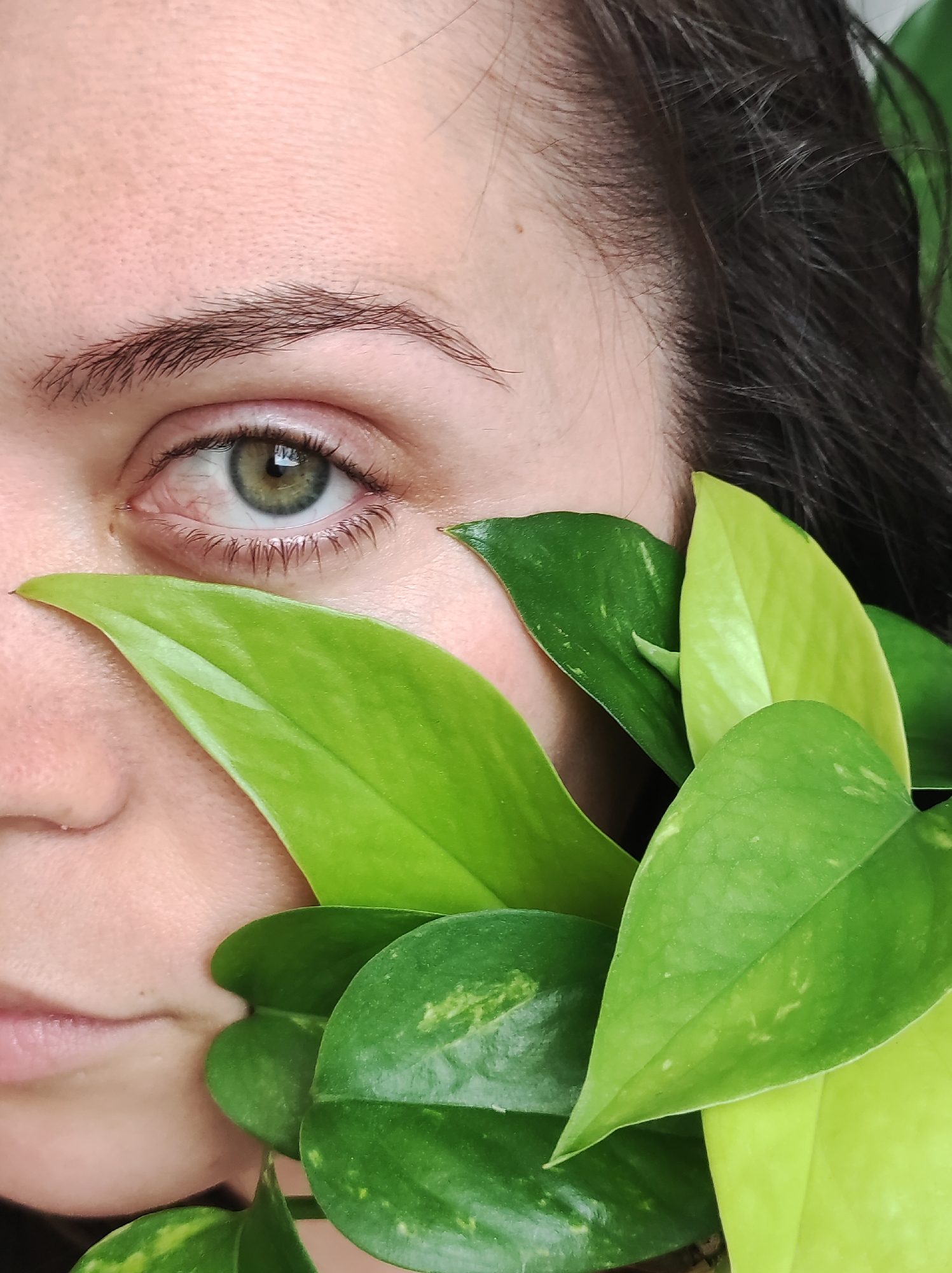This media file is a close-up photograph featuring a person's eye and mouth, partially obscured by vibrant green leaves. The subject's left eye, with a green iris and dark eyelashes, is clearly visible. The skin appears fair, with some pores and subtle texture. The person's dark hair is visible on the right side of the frame. The leaves, in various shades of green and with some lighter variegation, are lush and healthy, creating a natural and organic feel to the composition. The lighting suggests it could be daytime, possibly indoors with natural light, as there are no strong shadows. The close-up perspective and the placement of the leaves create an intimate and somewhat mysterious mood, hinting at a connection with nature. There is no visible text in the image. The scene is a portrait with natural elements, focusing on the interplay between the human subject and the plant life. The setting is not explicitly defined beyond the presence of the person and the plants.