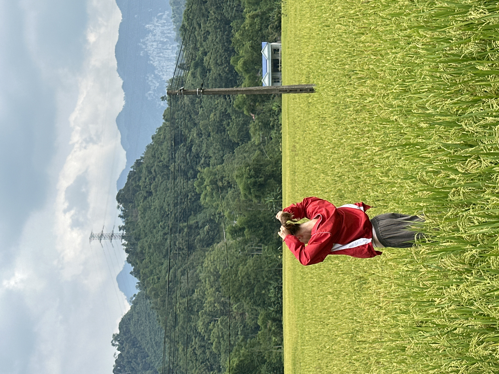 This media file captures a vibrant rural landscape in Ngọc Đường Commune, Vietnam, under a bright, cloudy sky.
**Subjects:**
The primary subject is a person, seen from the back and slightly to the side, standing in a vast, lush green rice field. They are wearing a red long-sleeved jacket with white accents and dark trousers, with their hair tied up. In the background, a series of mountains covered in dense green trees rise majestically. The sky above is largely cloudy with patches of blue. Man-made objects include a wooden utility pole with multiple power lines traversing the scene, a distant building with a distinct blue roof nestled among the trees, and a large metal electricity pylon high on a mountain slope in the far distance, also carrying power lines.
**Activity or Event:**
The person is standing in the rice field, appearing to be adjusting their hair or looking down/forward. There is no overt activity indicating work or interaction with others, suggesting a moment of pause or observation.
**Notable Details:**
The image depicts a daytime scene, characterized by bright, clear light, although the sky is predominantly cloudy. The extensive rice field, verdant mountains, and visible power infrastructure are strong indicators of a rural setting in Southeast Asia. The overall impression is one of natural beauty and tranquility, with elements of human presence integrated into the landscape. The rice field shows individual stalks of rice, some already forming grains, reflecting a stage of growth.
**Visible Text:**
There is no visible text in the image.