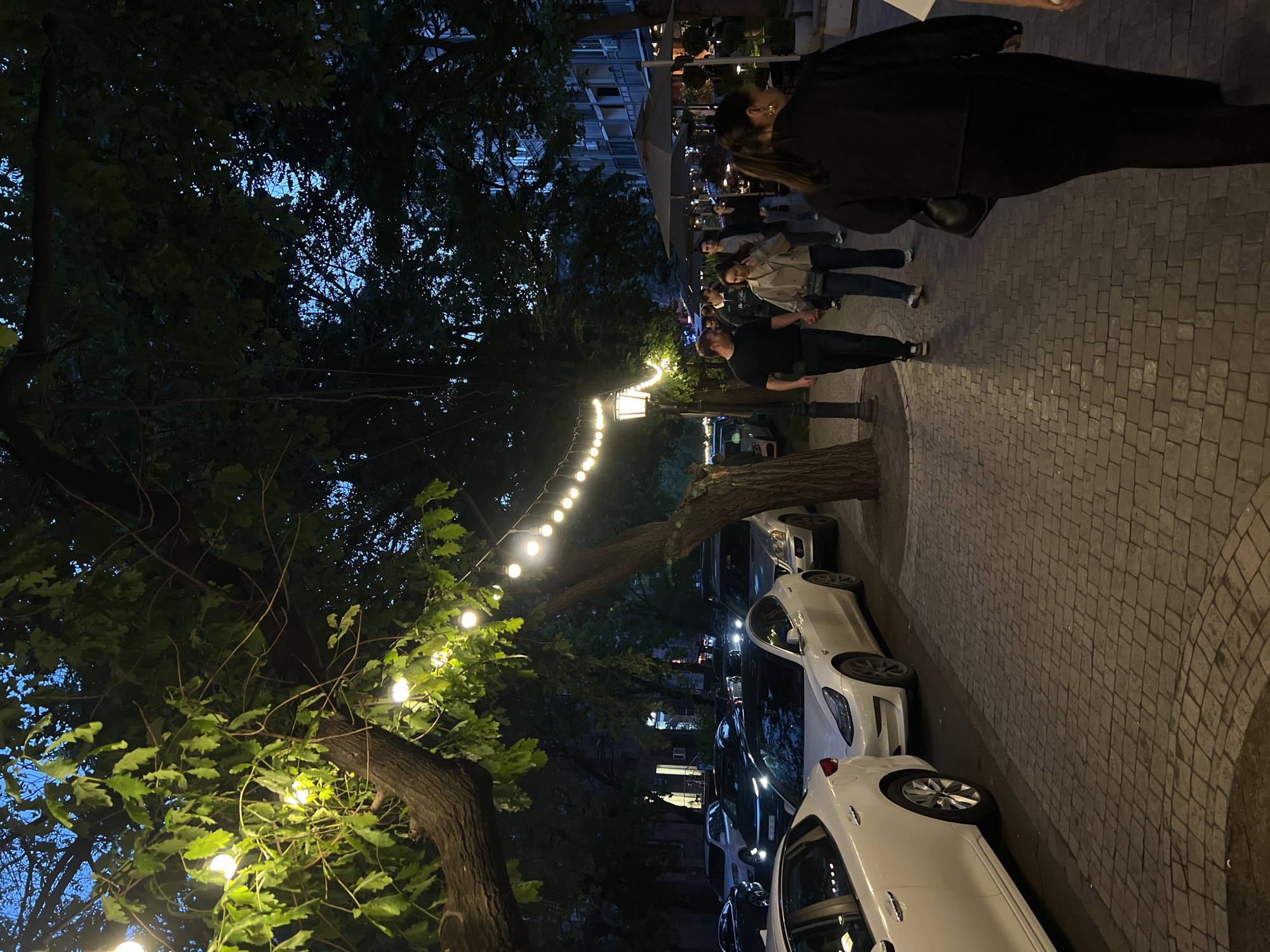 The image depicts a street scene at night in Yerevan, Armenia. String lights are hung between trees along a cobblestone sidewalk, illuminating the scene. Several people are walking on the sidewalk. Cars are parked along the side of the road. The overall environment is a mix of urban and natural elements.