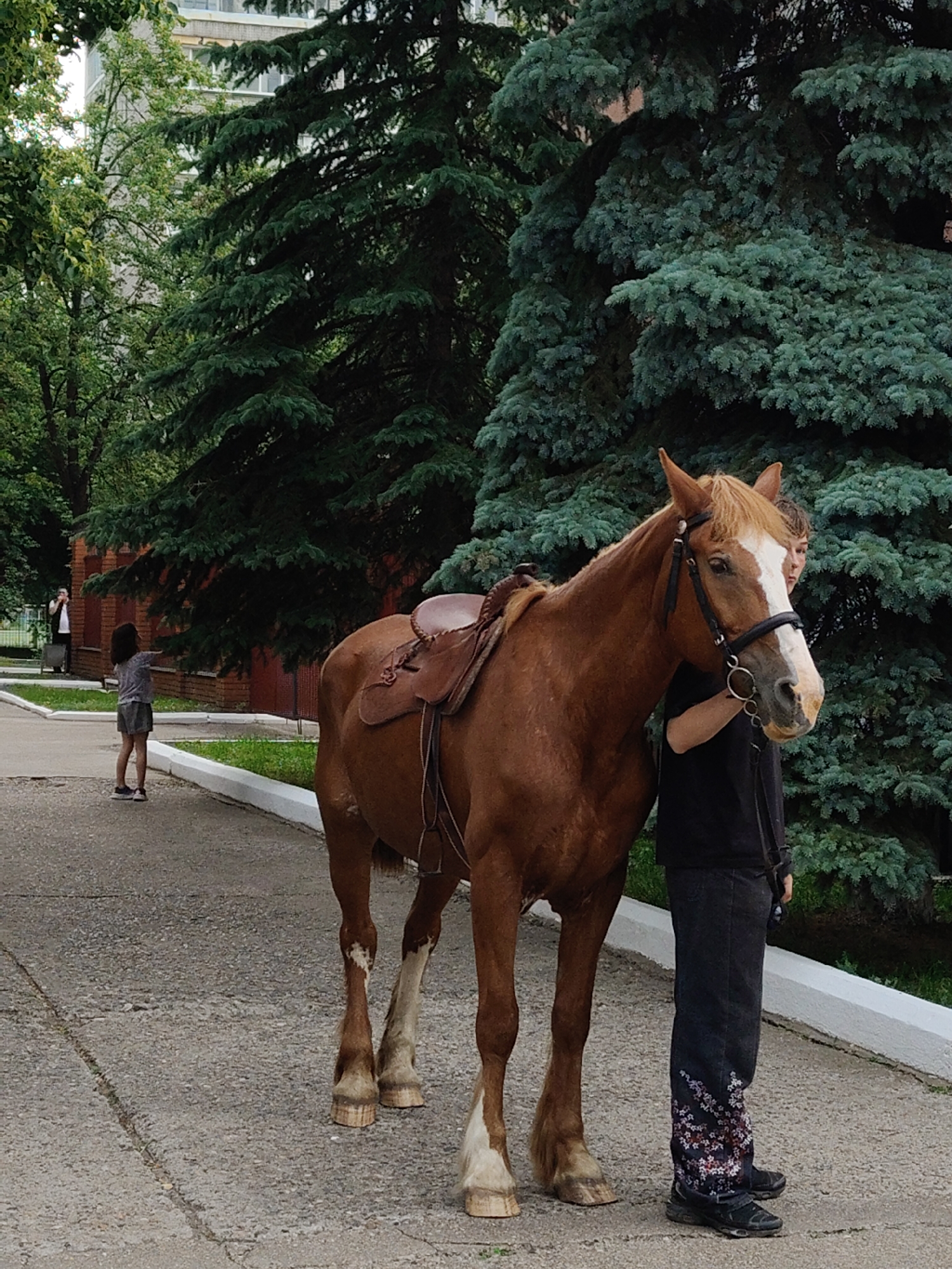 In a city environment, likely a park or school grounds, a chestnut-colored horse stands facing left, its head turned slightly towards the right. A person in a black shirt and patterned jeans is standing to the right of the horse, holding its bridle. The horse is wearing a saddle and bridle. In the background, a young girl in a grey t-shirt and shorts stands facing away from the camera, with her arms outstretched as if pointing. Further in the background, another person stands near a trash can. Tall evergreen trees and a building are visible behind the subjects. The ground is paved with asphalt.