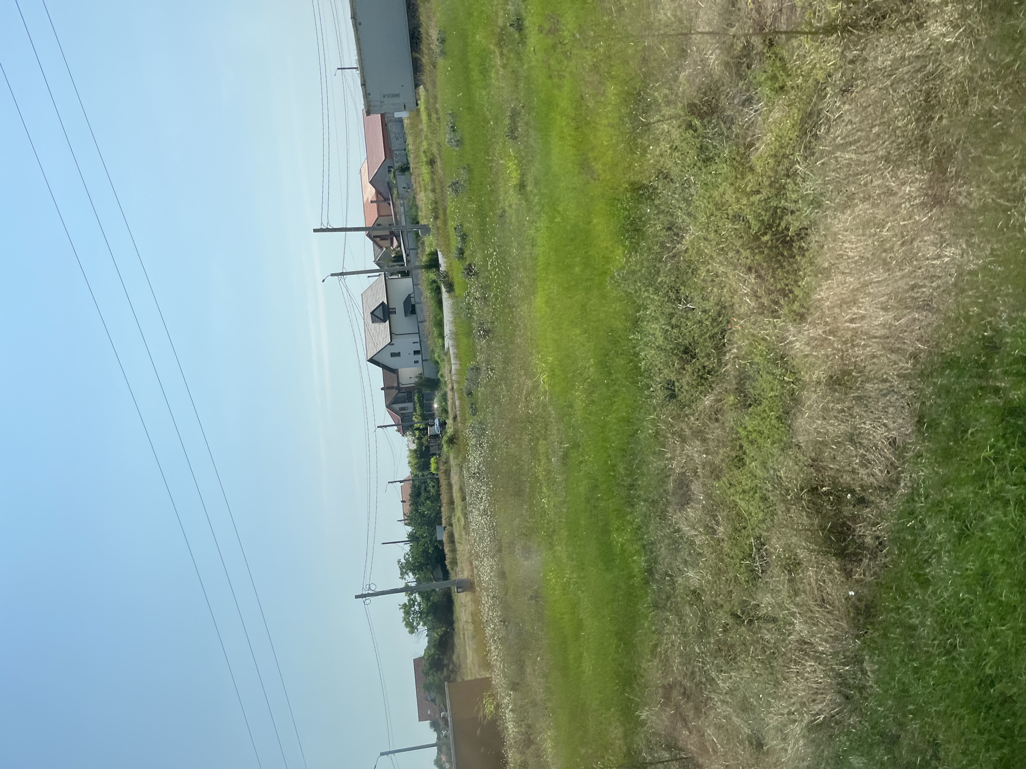 The image depicts a rural or suburban landscape in Movilița, Romania, under a clear blue sky. The foreground is dominated by a field of tall, green grass interspersed with dry, golden stalks. In the middle ground, a cluster of residential houses with red-tiled roofs are visible. One house is white with a dark grey roof and dark windows. Another is a lighter color with a red roof. There are also power lines and utility poles running across the scene. To the far right, a white trailer or storage container is parked. The background consists of more houses and trees, suggesting a settled area. There are no people or animals visible in the frame. The overall impression is a sunny day in a developing or established residential area.