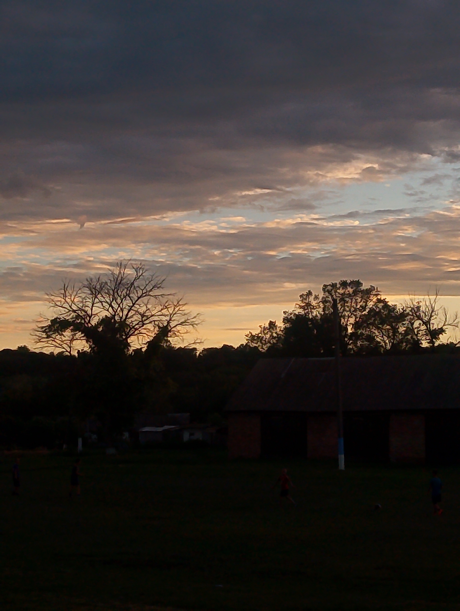 The image depicts a rural scene in Ustyvytsia, Ukraine, during what appears to be twilight or early evening. A dark, imposing building with a visible roof and brick facade dominates the middle ground. In front of it, a grassy field is sparsely populated.
Several figures, likely children or adolescents, are scattered across the field. One figure in the foreground is running, and a dark, round object, presumably a soccer ball, is visible nearby. Another figure stands to the right. The overall atmosphere is dim, with the foreground largely in shadow.
Above the landscape, the sky is a dramatic canvas of clouds. Dark, heavy clouds gather at the top, transitioning to lighter, wispy clouds tinged with hues of orange and yellow near the horizon, suggesting the fading light of sunset or the approaching dawn. A bare, silhouetted tree with intricate branches stands prominently against the sky on the left side of the image, adding a stark contrast to the softer colors of the clouds. Behind the foreground building, a line of trees forms a dark silhouette against the horizon.
The scene evokes a sense of quietness, perhaps the end of a day of play or activity in the village. The time of day is clearly indicated by the low light and the sky's coloration. The presence of the building and the open field suggest a rural or semi-rural setting. There is no visible text in the image.