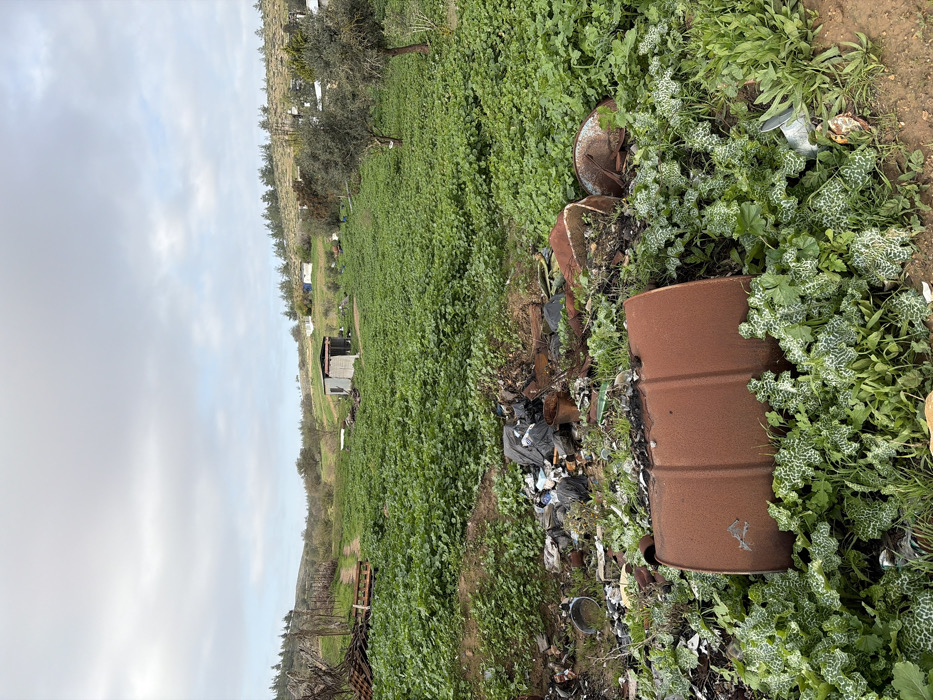 A landscape reveals a field of green crops and scattered structures under a cloudy sky. Foreground clutter includes trash bags, rusty metal drums, and overgrown weeds. A small shed sits amidst the field, with sparse trees lining the horizon. The general impression is one of untidiness and environmental neglect.