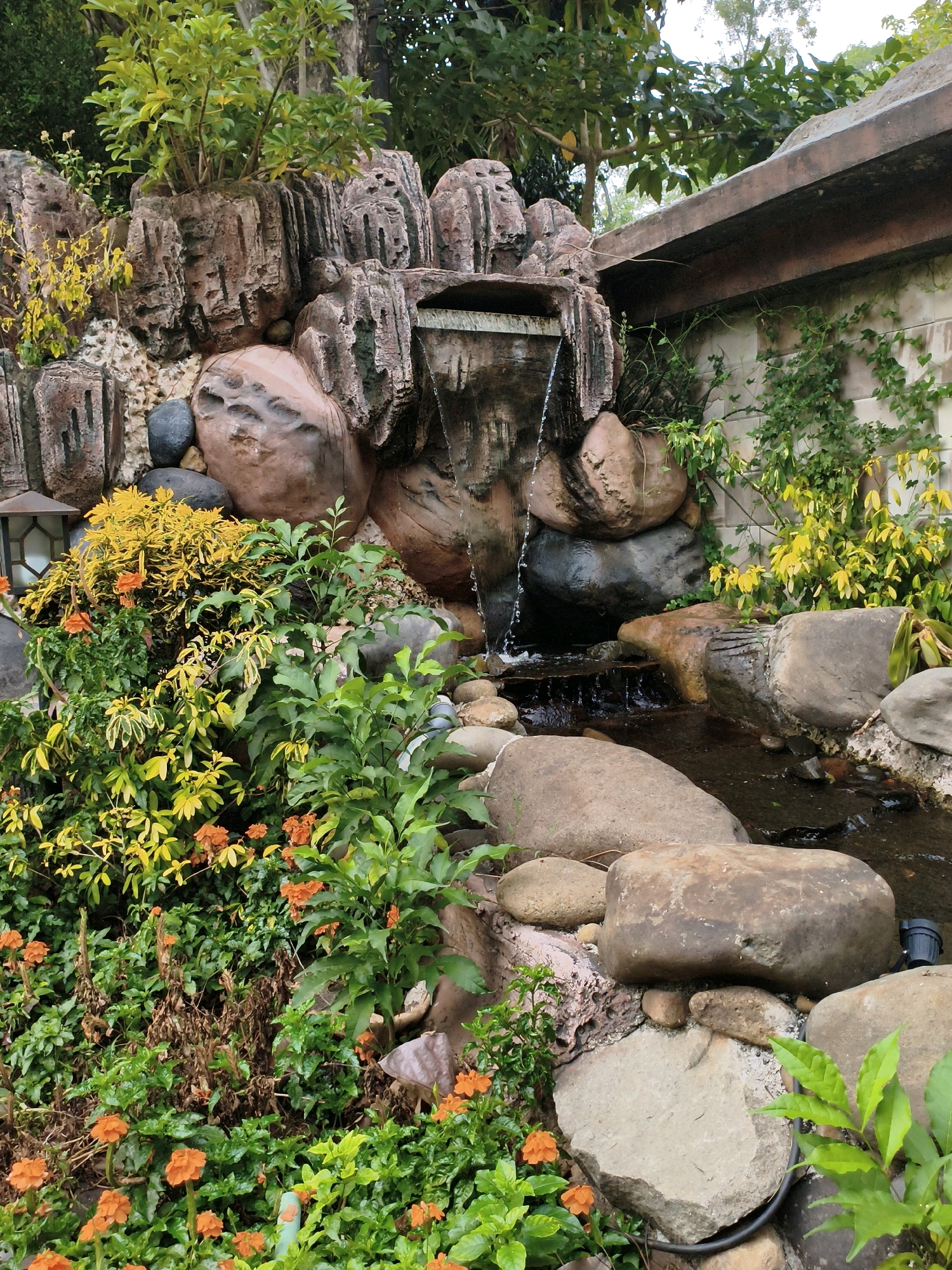 The image depicts a man-made waterfall feature in a garden, likely located in Sukaraja, Indonesia. The waterfall is constructed from artificial rocks, creating multiple tiers where water cascades into a shallow pool below. Lush green foliage, interspersed with vibrant yellow and orange flowers, surrounds the waterfall and pool area. Large, smooth stones of various sizes are strategically placed around the water feature and along the edges of the pool. A portion of a building's exterior wall, constructed with light-colored rectangular blocks, is visible in the upper right background, with ivy-like plants growing on it. A dark, outdoor light fixture is positioned near the water's edge. The scene is dominated by natural elements, suggesting a tranquil and decorative garden setting. There are no people visible in the image.